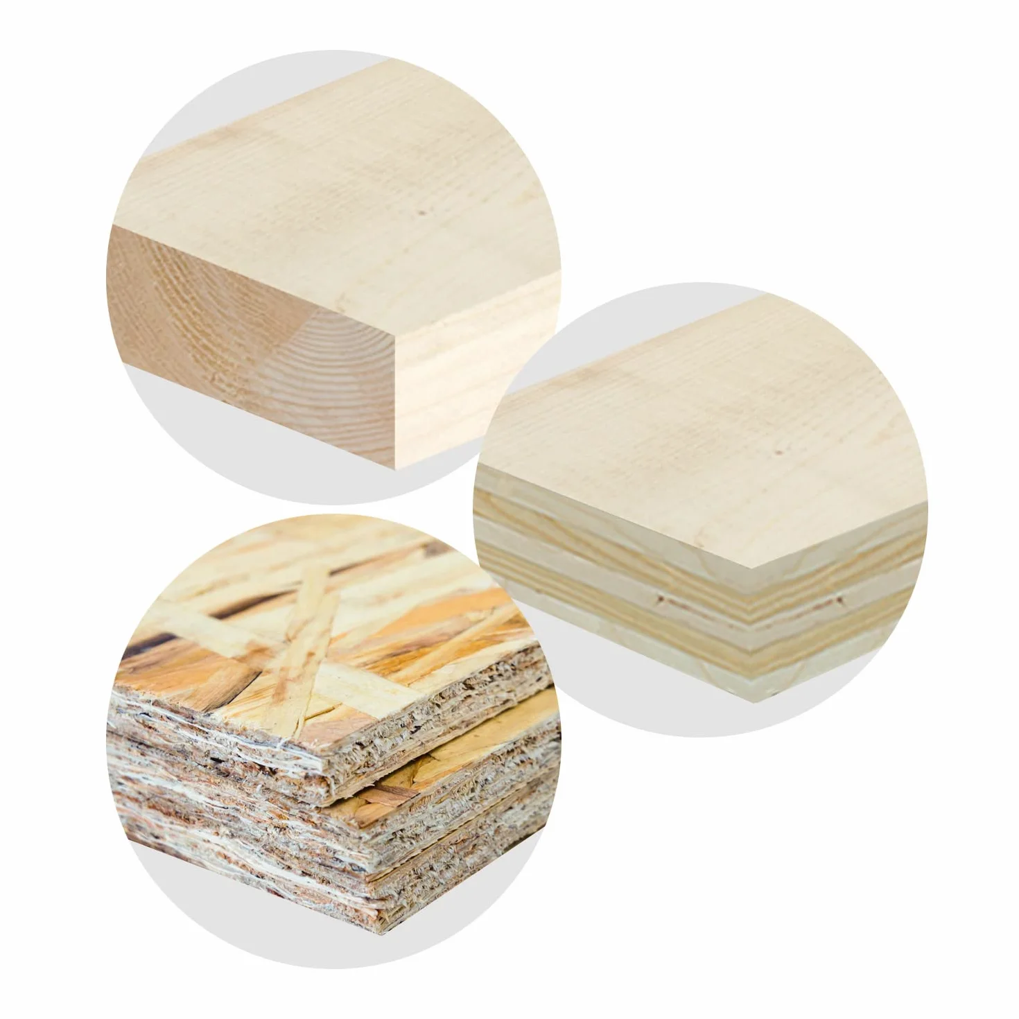 Vis à bois de construction Tête fraisée Vis pour aggloméré TX (5,0 x 100 mm 200 Pièces)