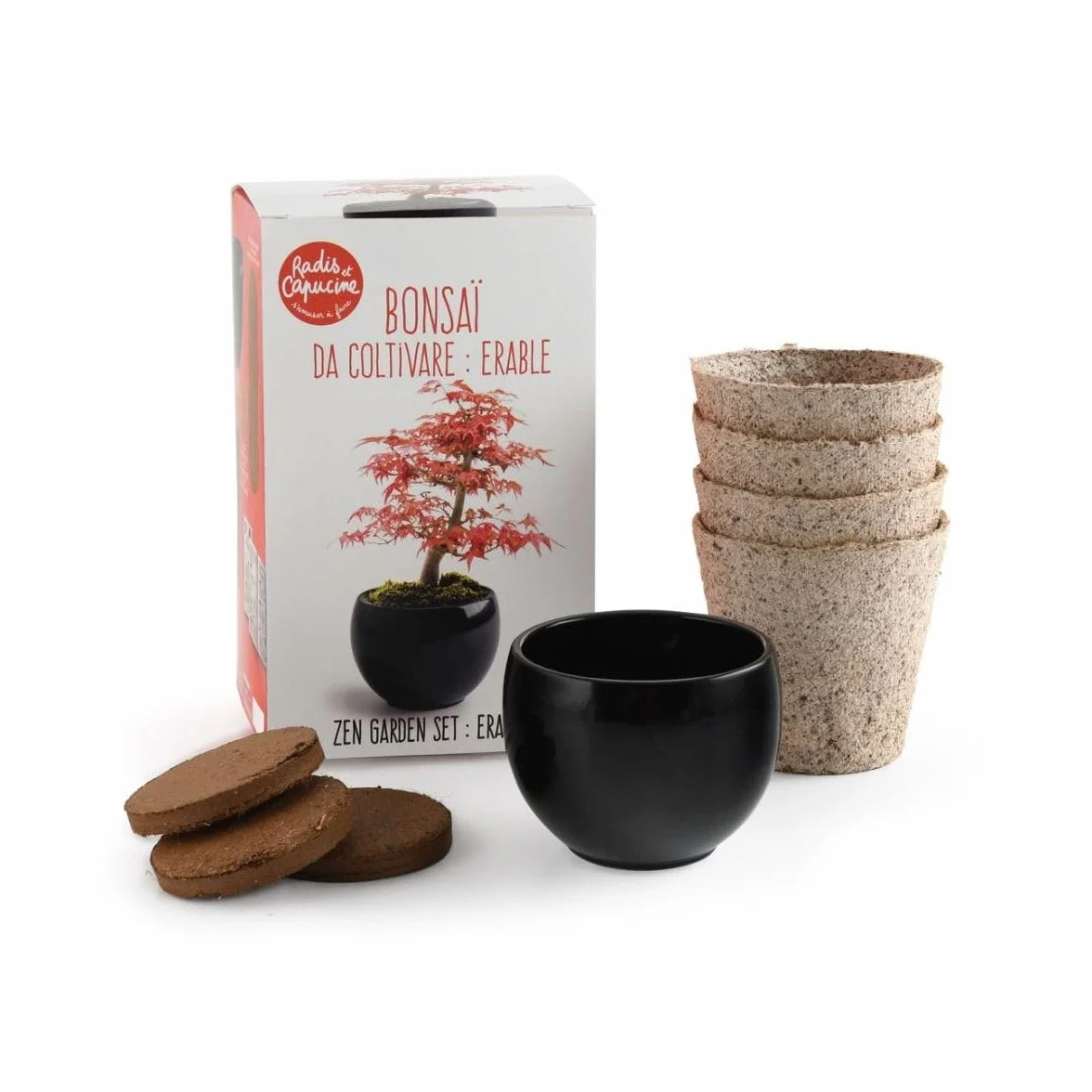 Kit Bonsaï Erable rouge Radis et Capucine