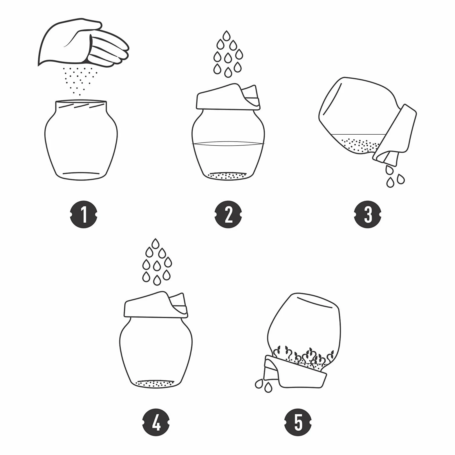 Browin Germoir en verre pour cultiver des germes sains, Noir, Transparent