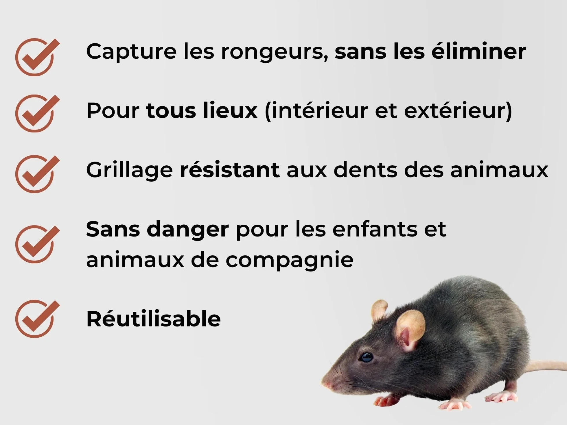 CAUSSADE Nasse à Rats Piège à Rats Cage capturer Rats Socle Bois certifié FSC Réutilisable Intérieur Extérieur