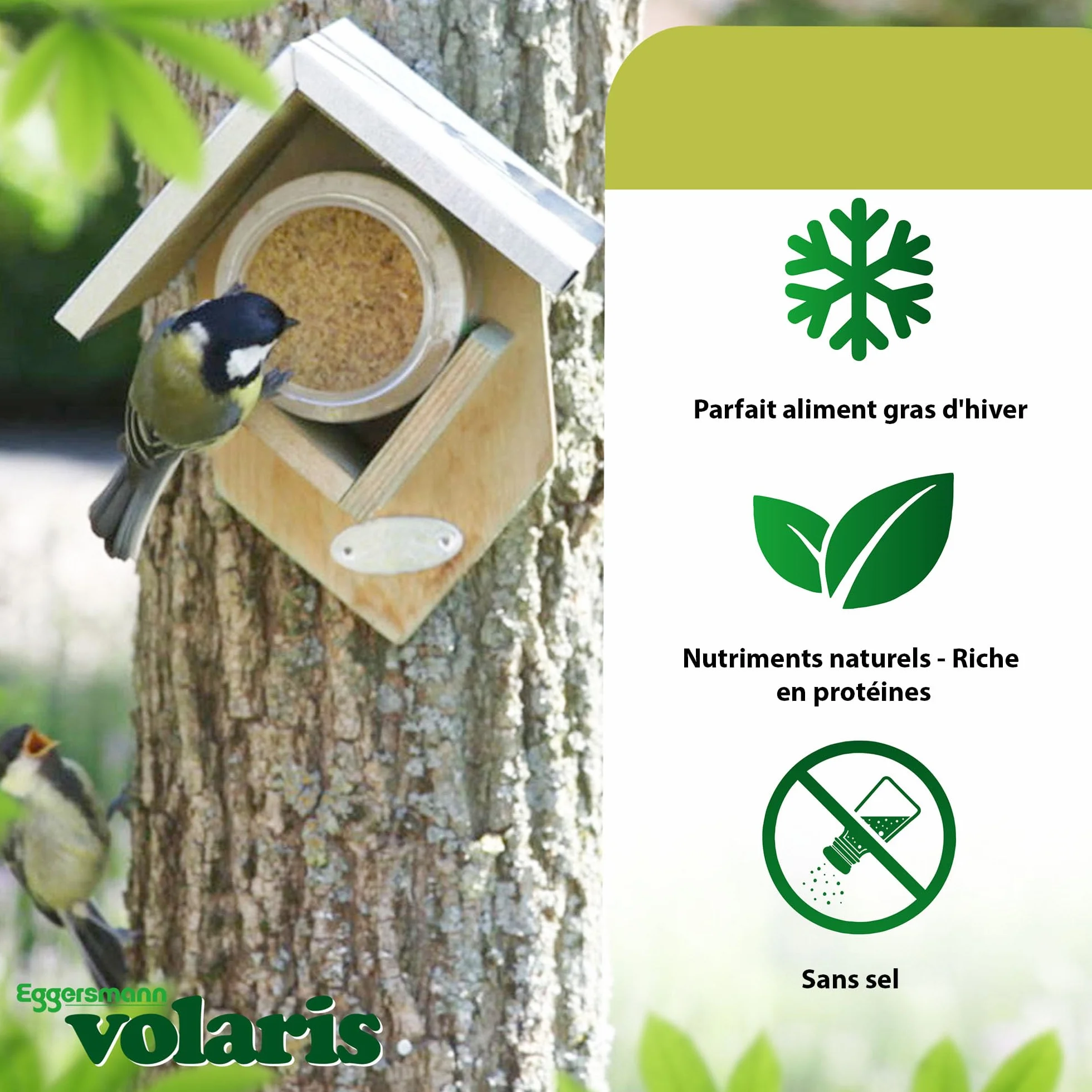 Eggersmann Volaris Beurre de Cacahuètes pour Oiseaux Sauvages 3 x 350 g Riche en Calories