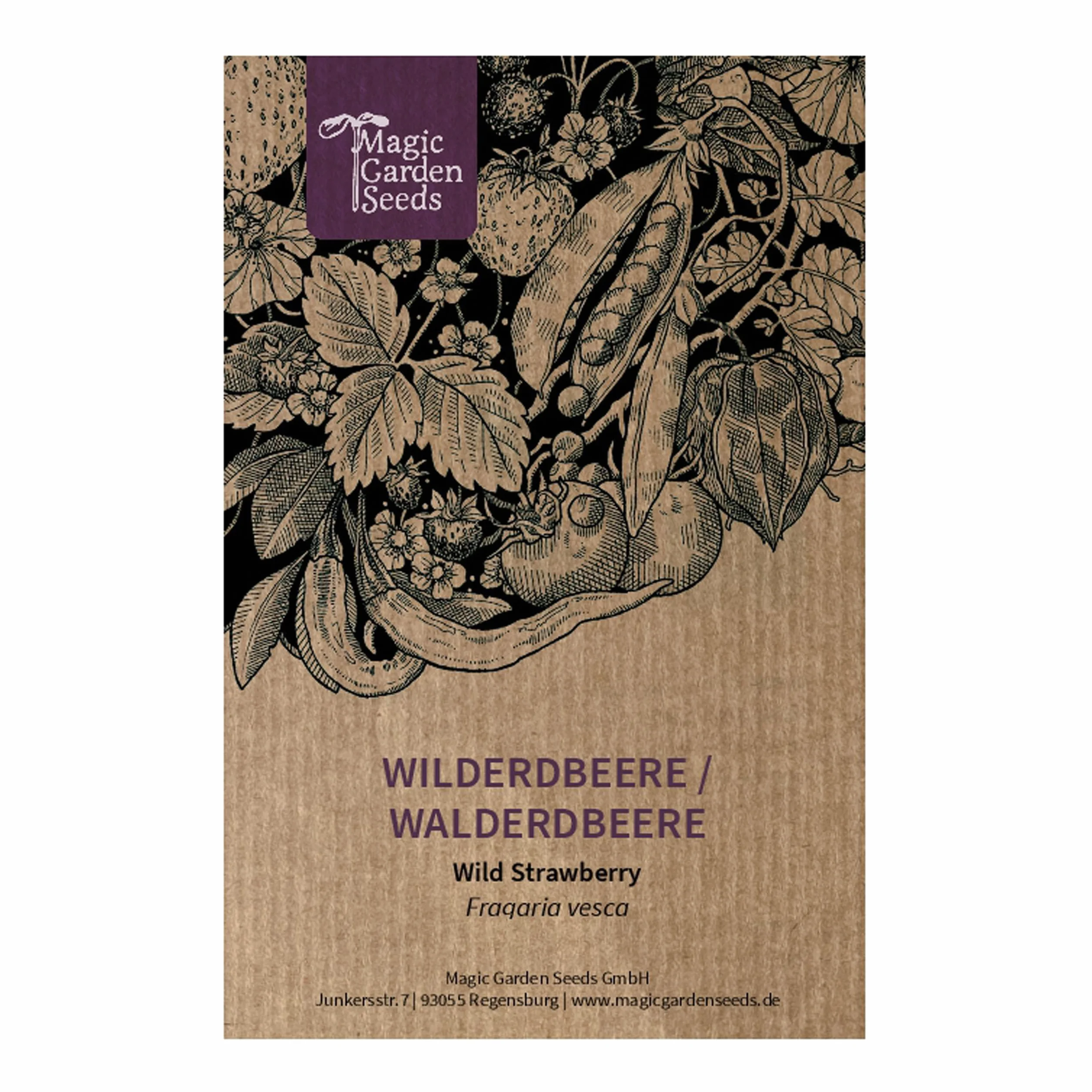 Fraise des bois Fragaria vesca 300 semences