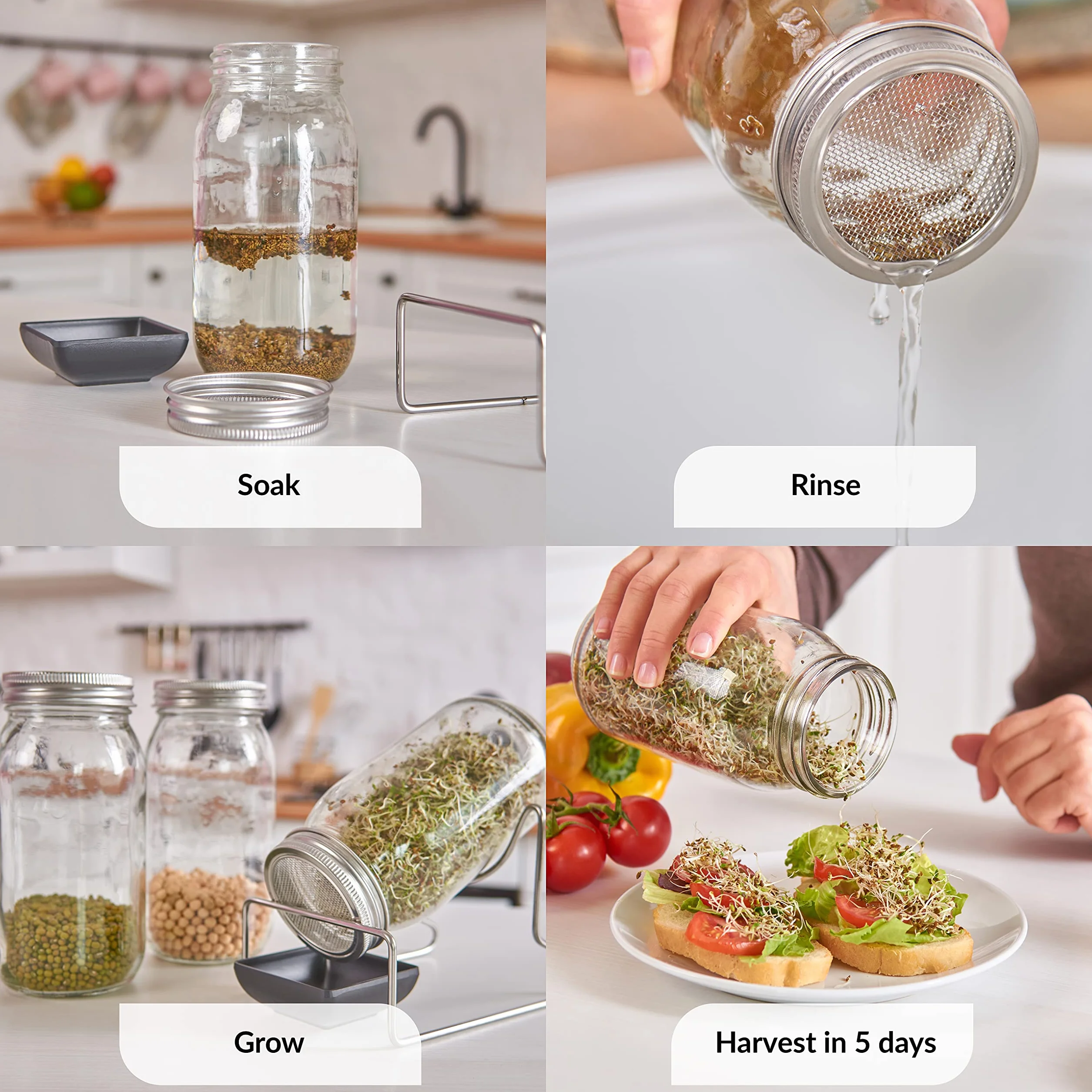 Kit de 2 Couvercle Bocal à Graines pour 7cm Bocaux Germination Acier Inox 304