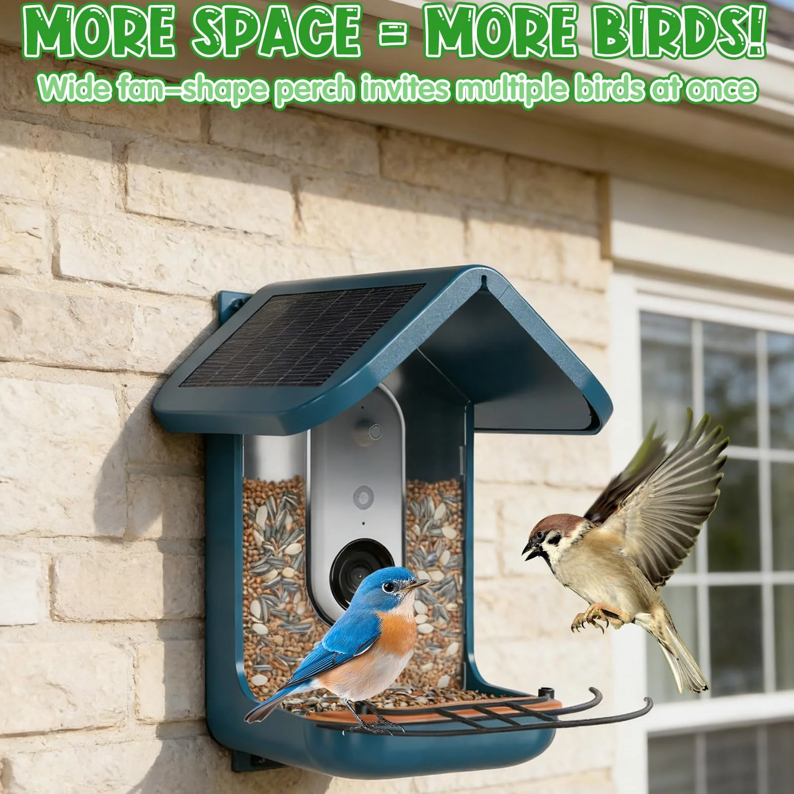 Rallonge de perchoir en métal pour mangeoire Bird Buddy, Accessoires et pièce de Rechange