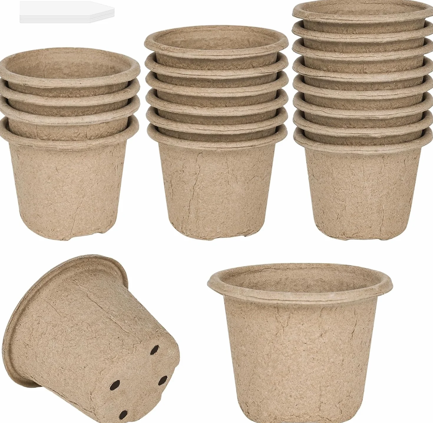 Pots de semis biodégradables Ø 11 cm lot de 20 avec étiquettes