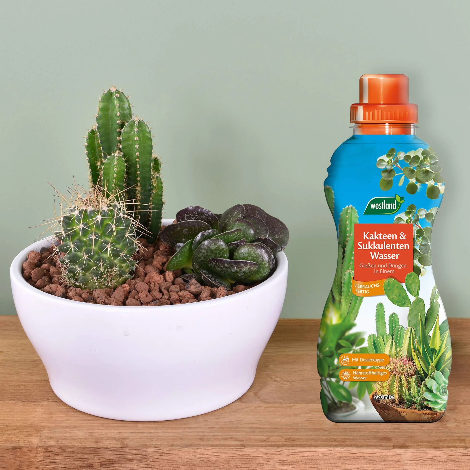 Westland Eau spéciale Cactus et Plantes Grasses 720 ML Fertilisant Liquide avec Dosage Deux-en-Un Arrosage et Engrais