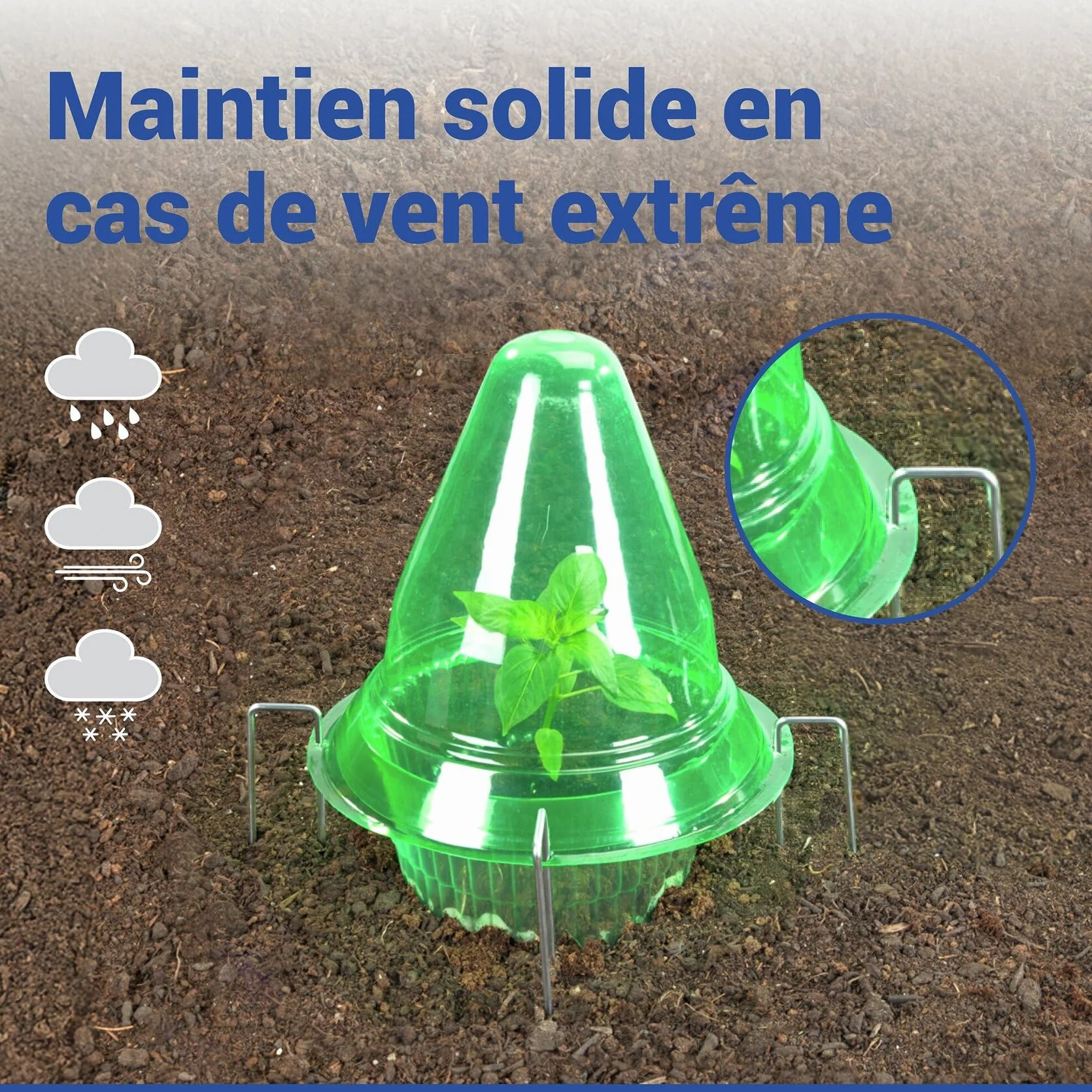 Maximex Dôme de bouturage 3en1 15 pièces Protection contre le gel oiseaux limaces jardin 3 cloches culture semis Ø 27 x 25 cm Plastique PET vert