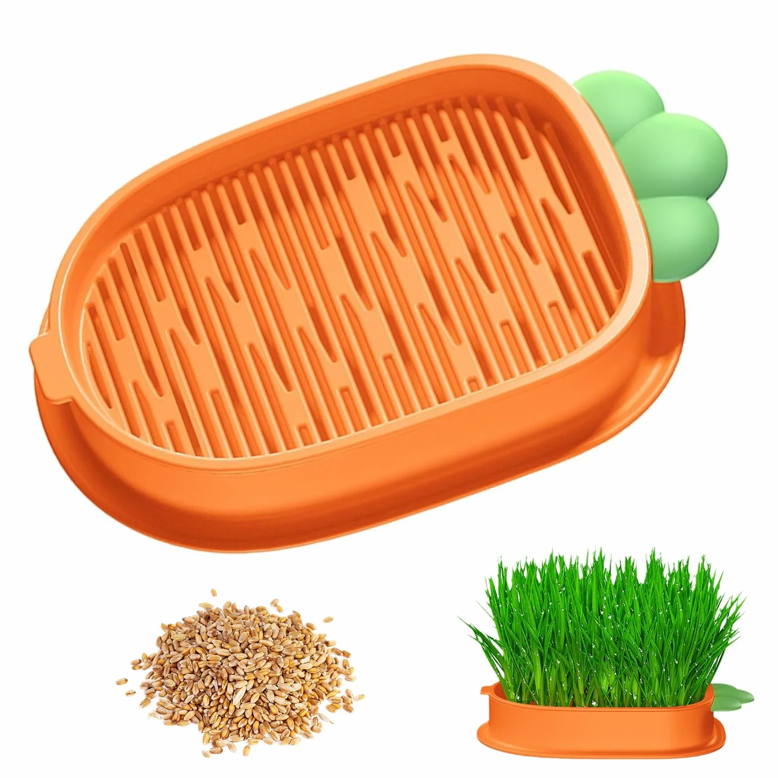 Kit de Culture d'Herbe à Chat Hydroponique Sans Sol avec Graines