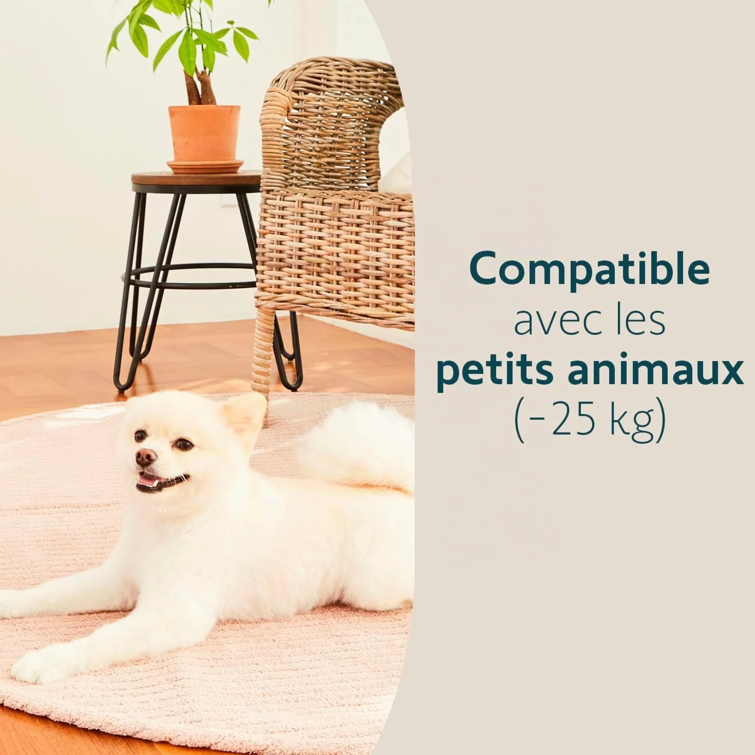 Somfy 2401490 - Détecteur de Mouvement Intérieur - Compatible Animaux - Compatible Home Alarm (Advanced, Essential), One (+)