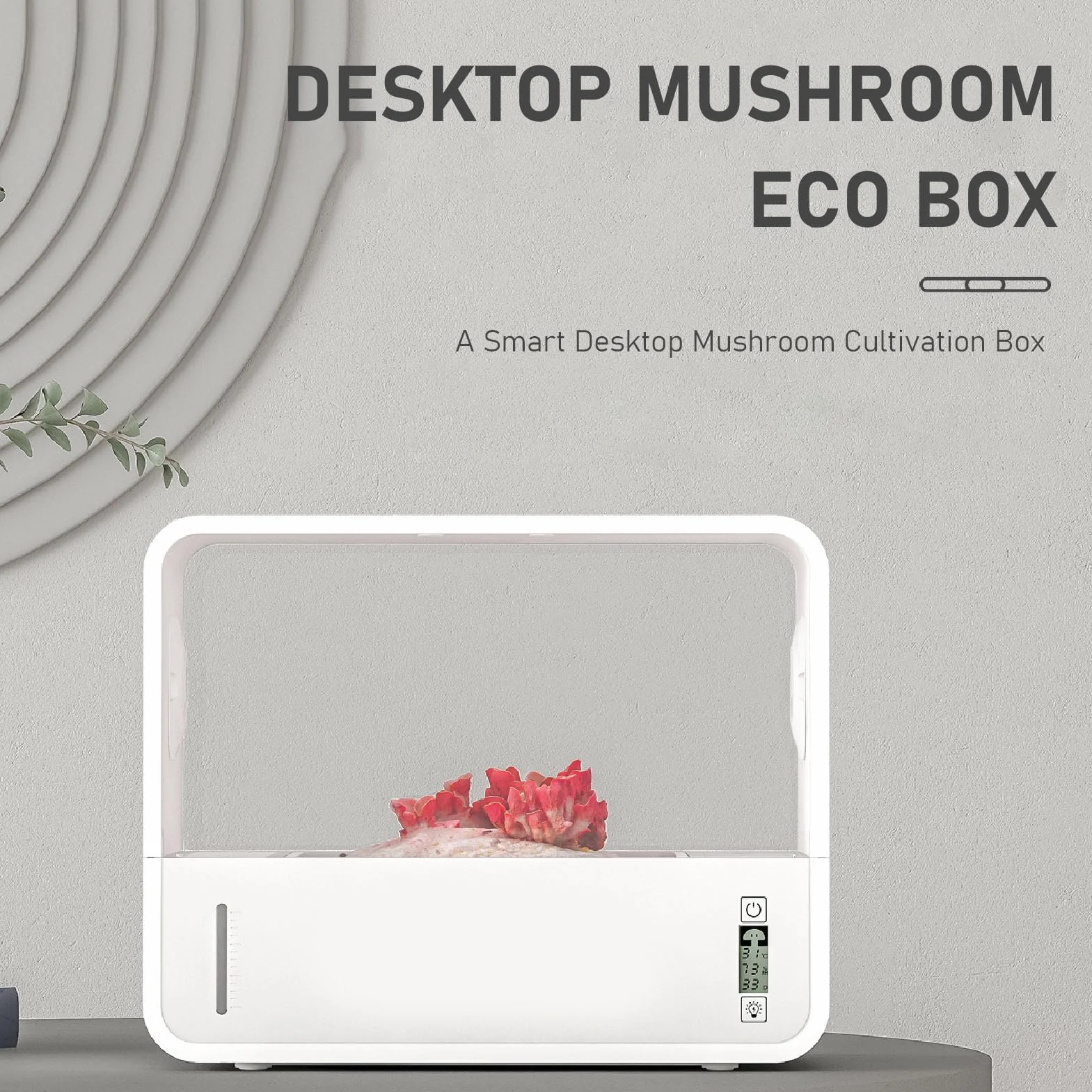 Boîte de Tente de Culture de Champignons sans Sol avec éclairage LED Automatique, Visualisation Transparente