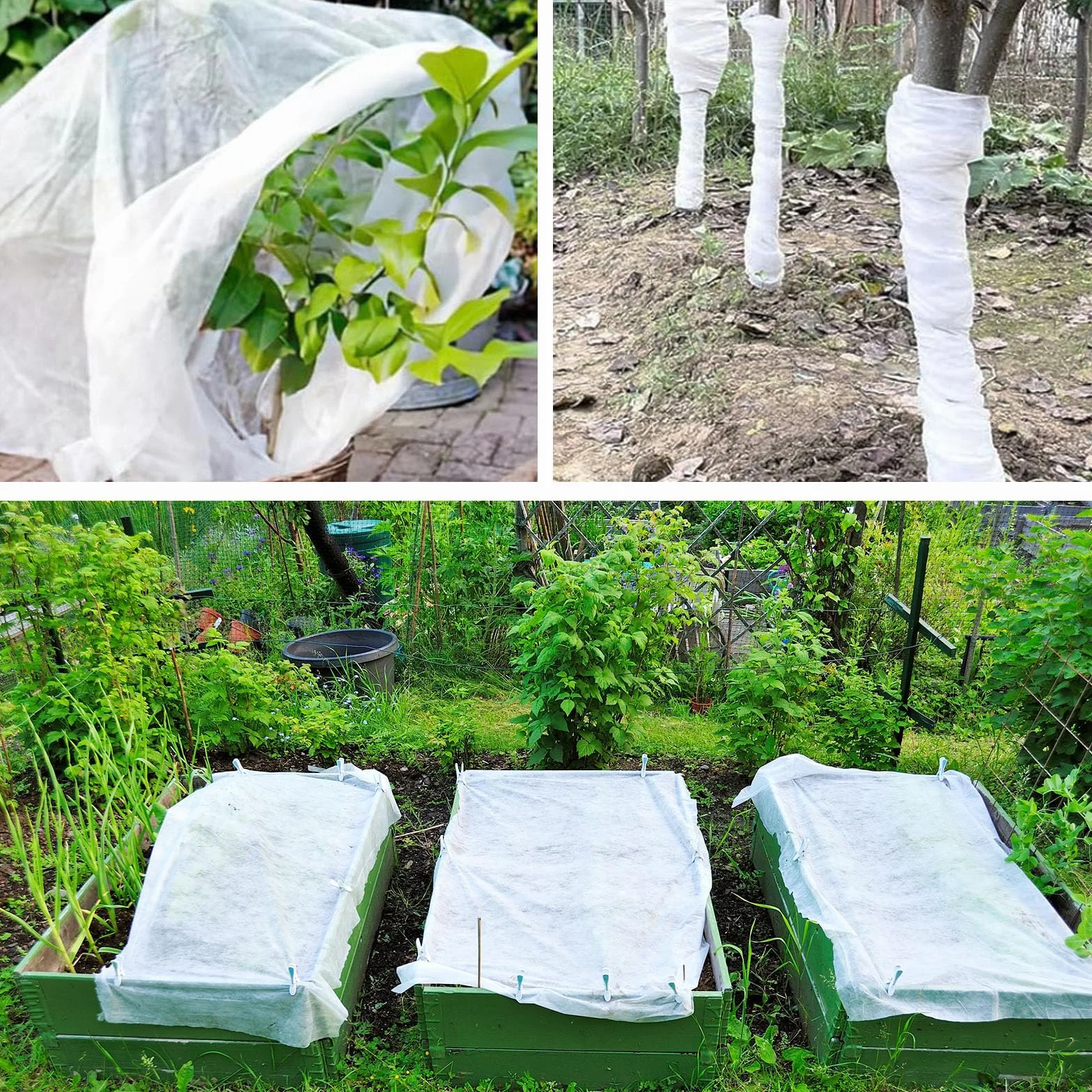 Bâche d'Hivernage Plante 2x10m Voile Hivernage Protection Gel Réutilisable Résistant Insectes Oiseaux Blanc