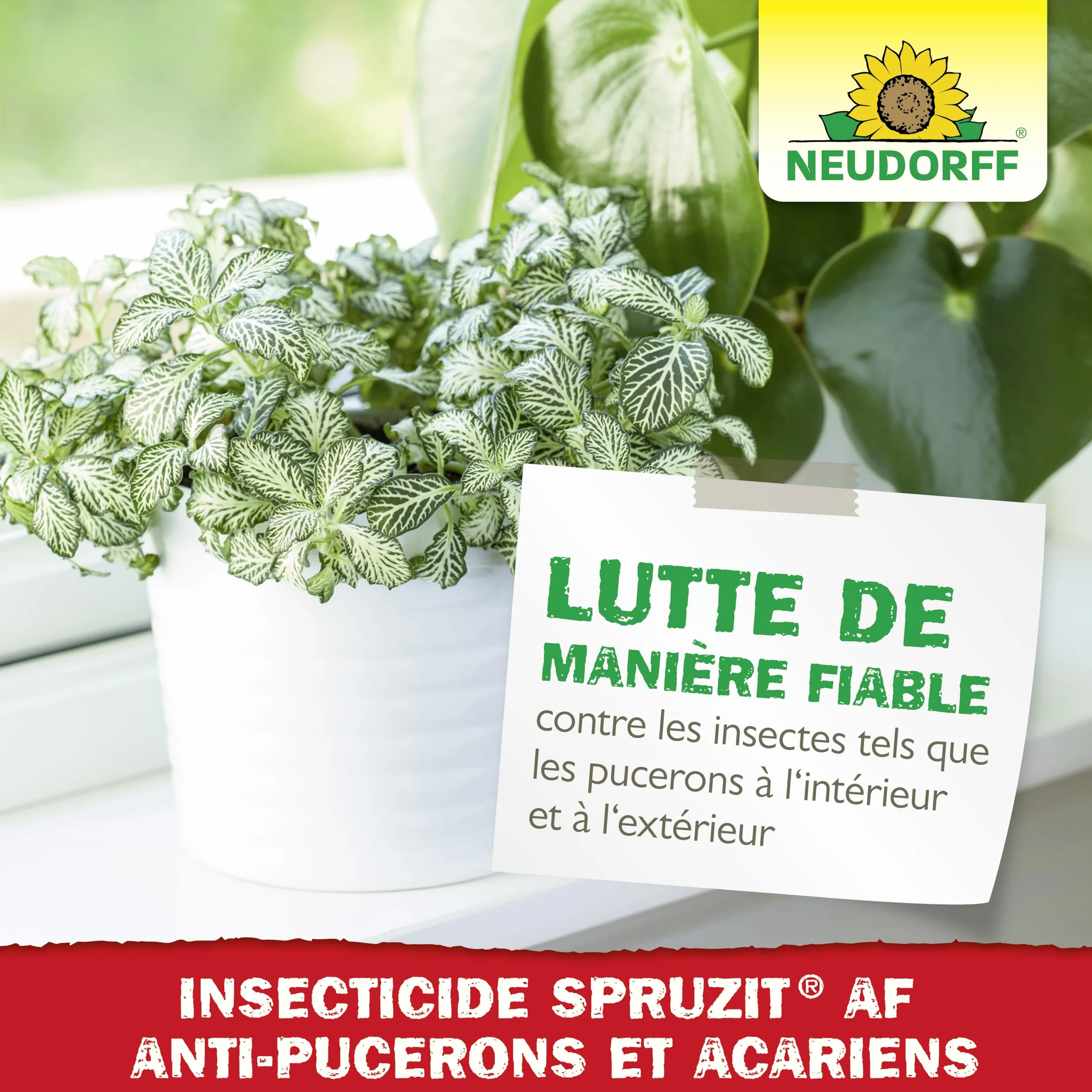 Neudorff Spruzit EC Insecticide Anti-Pucerons et Acariens Concentré 250 ml