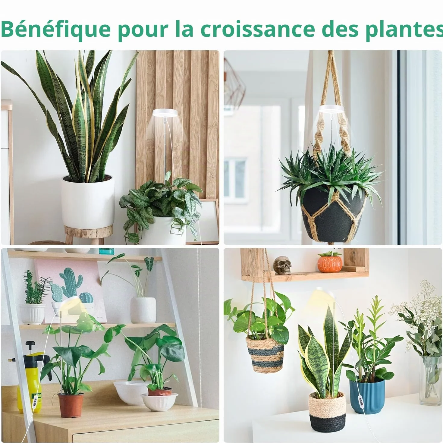 Mcbazel Lampe Plante LED Croissance 24 LED Spectre Complet Hauteur Réglable 61,5 cm Minuterie 4H/8H/12H 10 Niveaux Luminosité