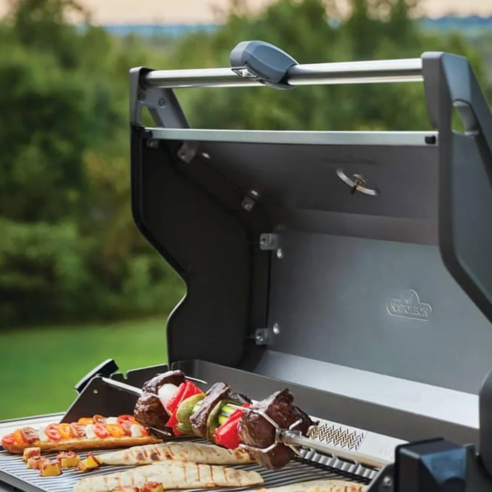 Napoleon Grills 70029 Accessoire de Barbecue Lumière Grill