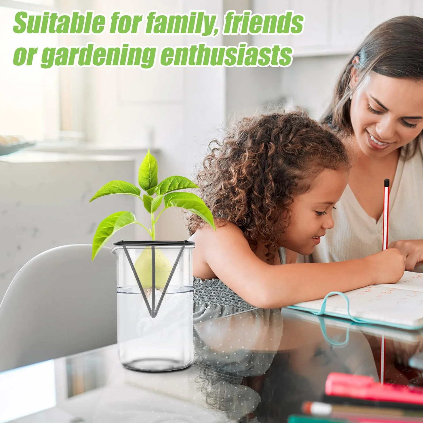 Gosknor 4pcs Démarreurs de Graines d'Avocat, Kits de Culture d'Avocatiers Triangulaires en Métal Support de Germination