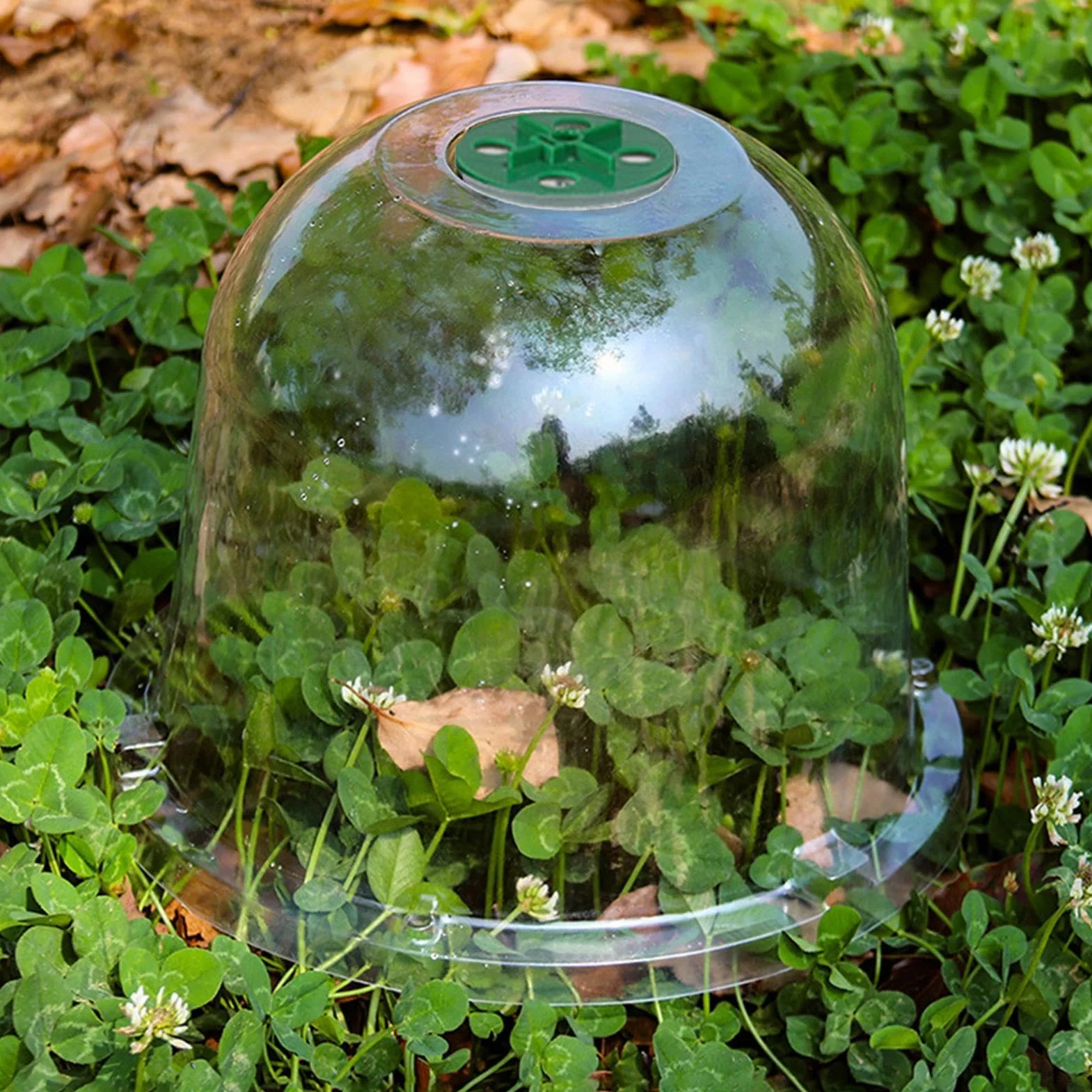 Lot de 10 Dômes de Serre de Jardin Transparents Réglables pour Propagation