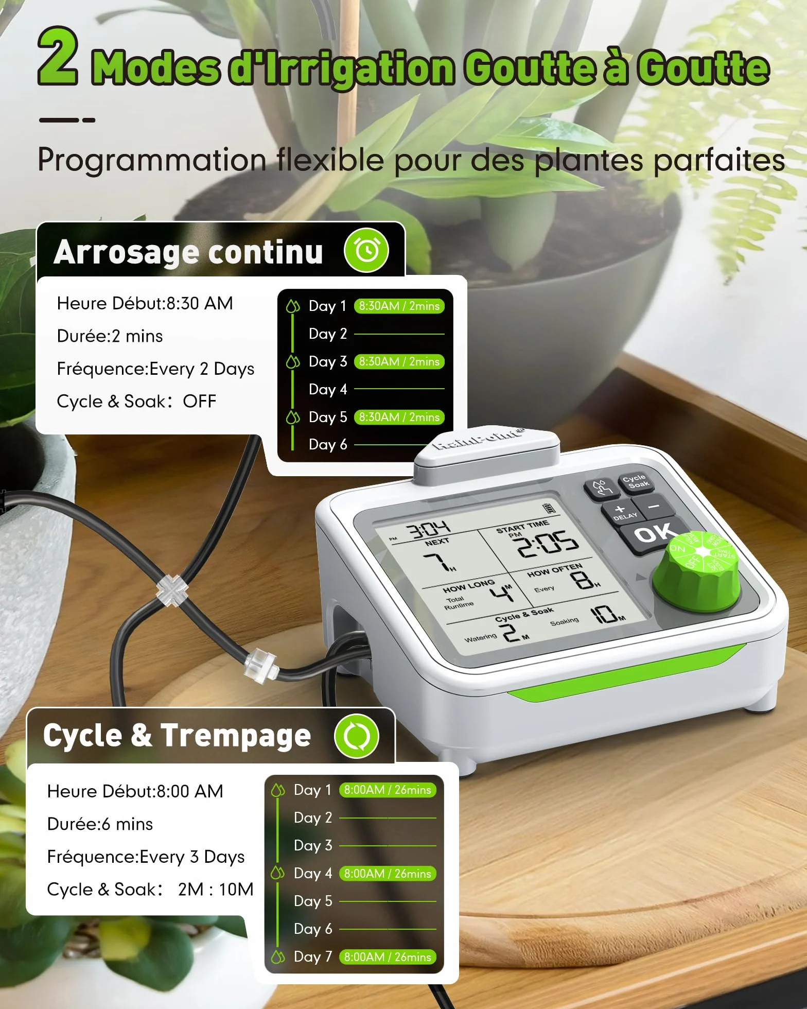 RAINPOINT Système d'irrigation automatique goutte à goutte rechargeable pour 20 plantes d'intérieur