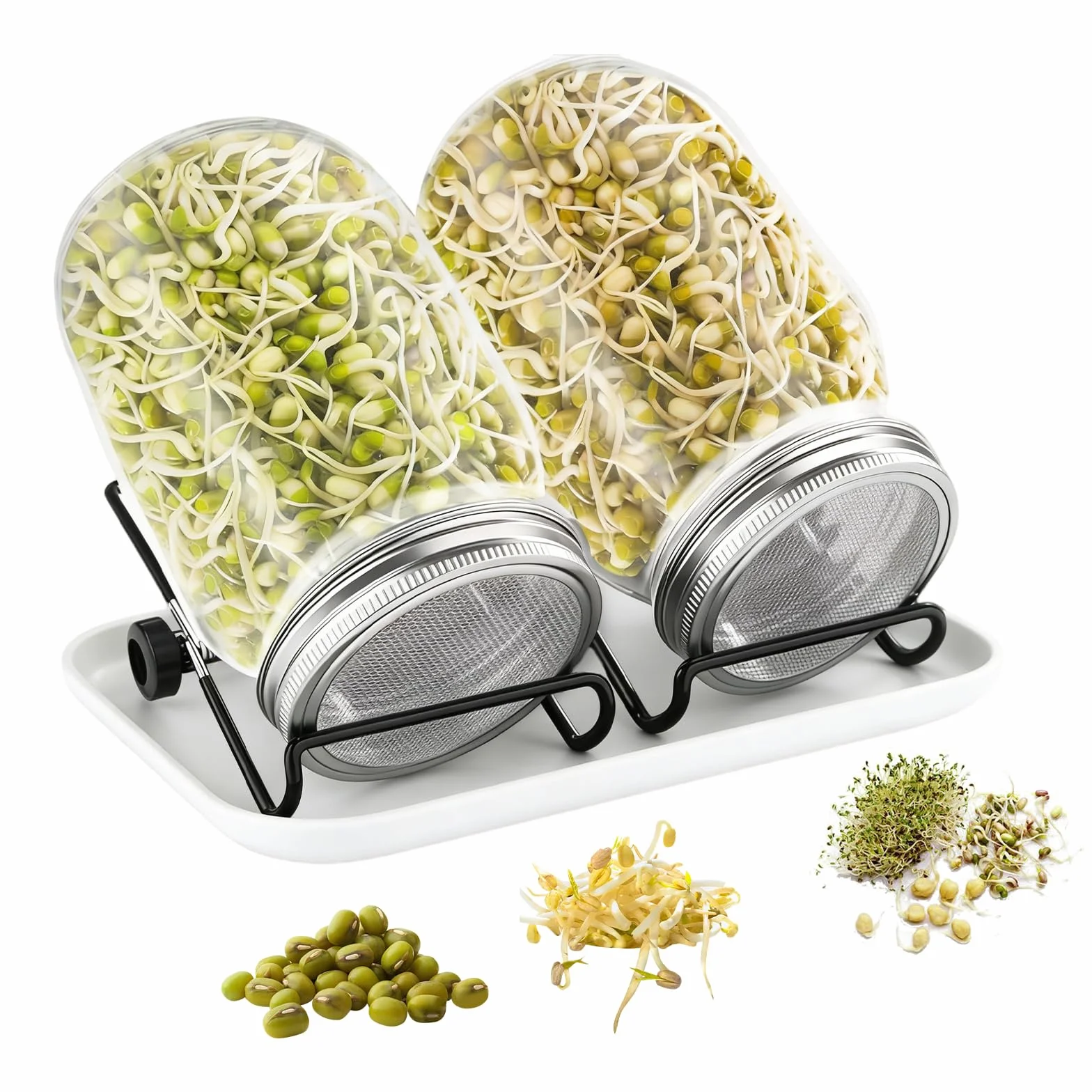 Bocal de Germination 2x750ml Germoir en Verre avec Couvercle Acier Inoxydable et Support