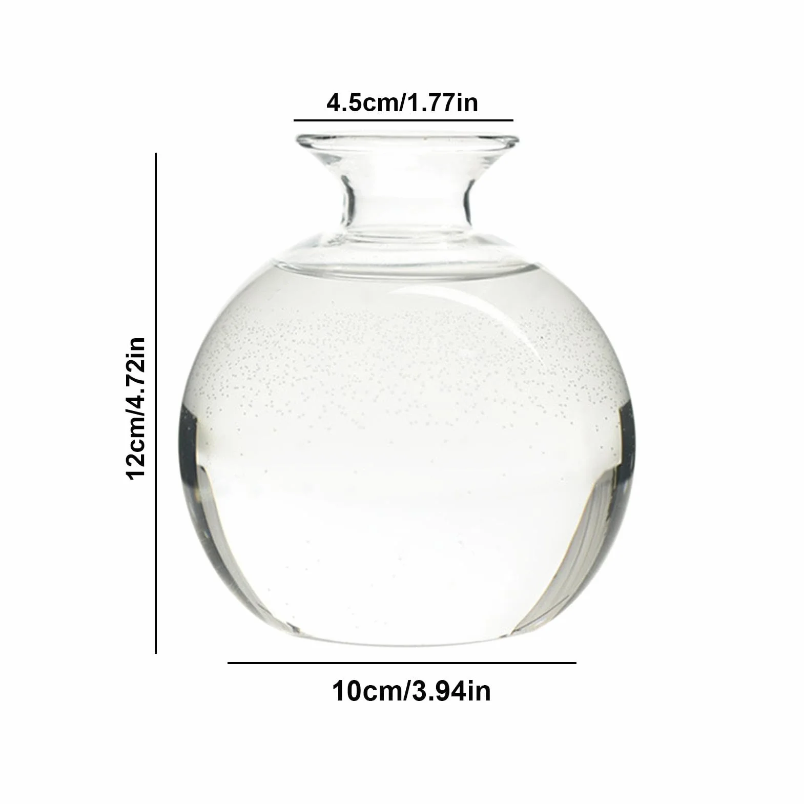 Vase en Verre pour Avocat Kit de Culture d'Avocat Pot pour Semences