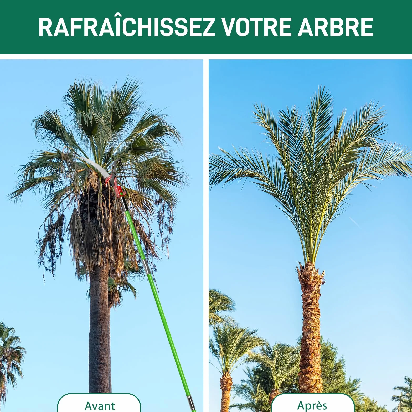 LEADZM Scie à Élaguer Télescopique 2-8 m, avec 8 Poteaux Fibre de Verre - Coupe branche telescopique pour Élagage Palmiers Arbustes, vert
