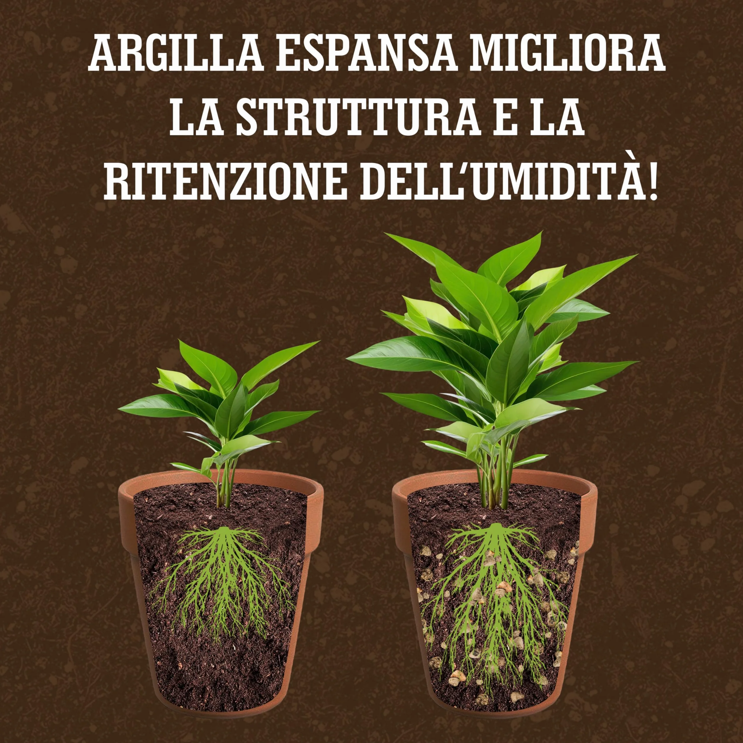 Billes d'argile LERAVA 1L - Substrat naturel léger pour plantes d'intérieur - Drainage optimal et décoration végétale - Made in Italy