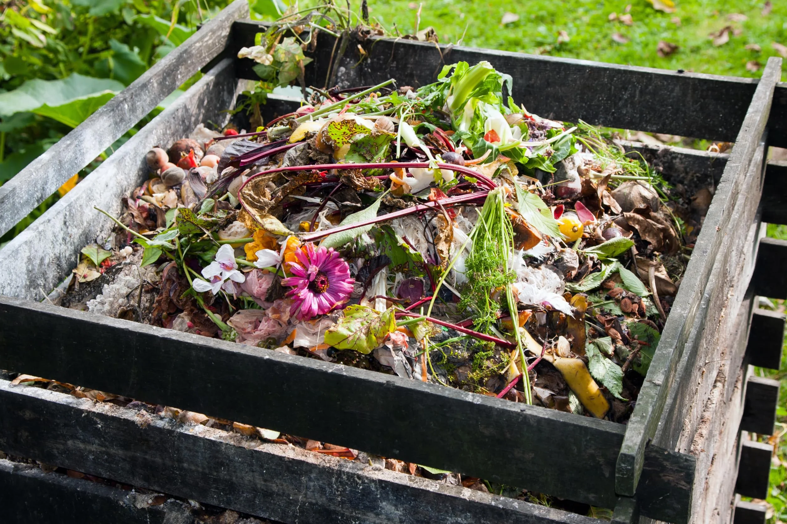 Solabiol Engrais Activateur De Compost 900g Prêt A l'emploi Accélère La Transormation des Déchêts Verts Agriculture Biologique