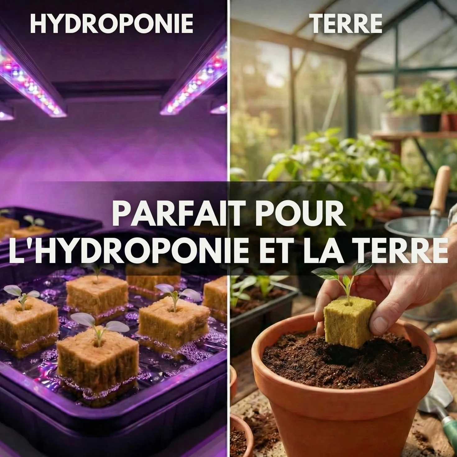 Cubes de Laine de Roche Hydroponique (2,5cm) Lot de 100 pour Germination et Bouturage, Substrat Aéré pour Semis