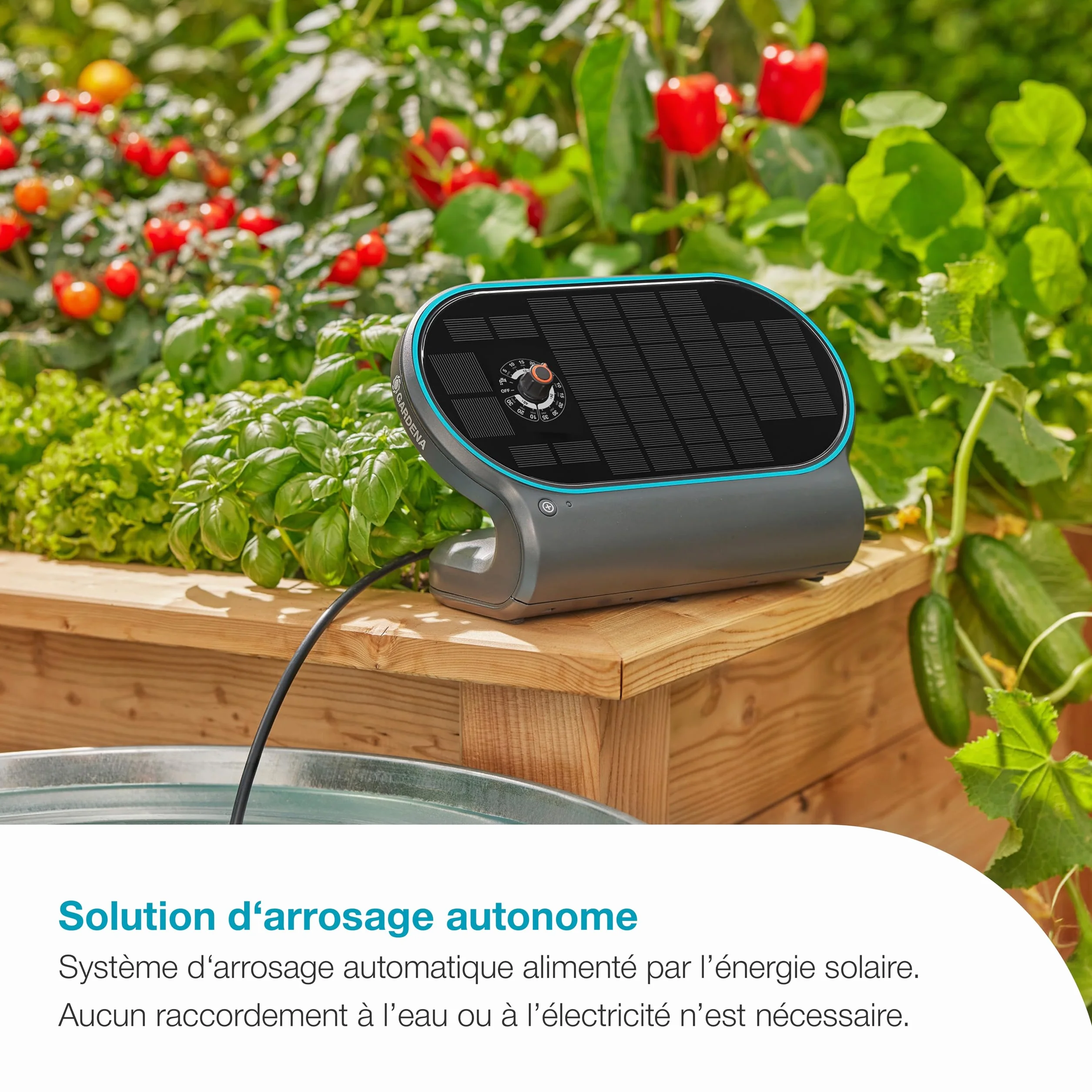 Gardena AquaBloom L Set Système d'Arrosage Autonome pour 30 Plantes