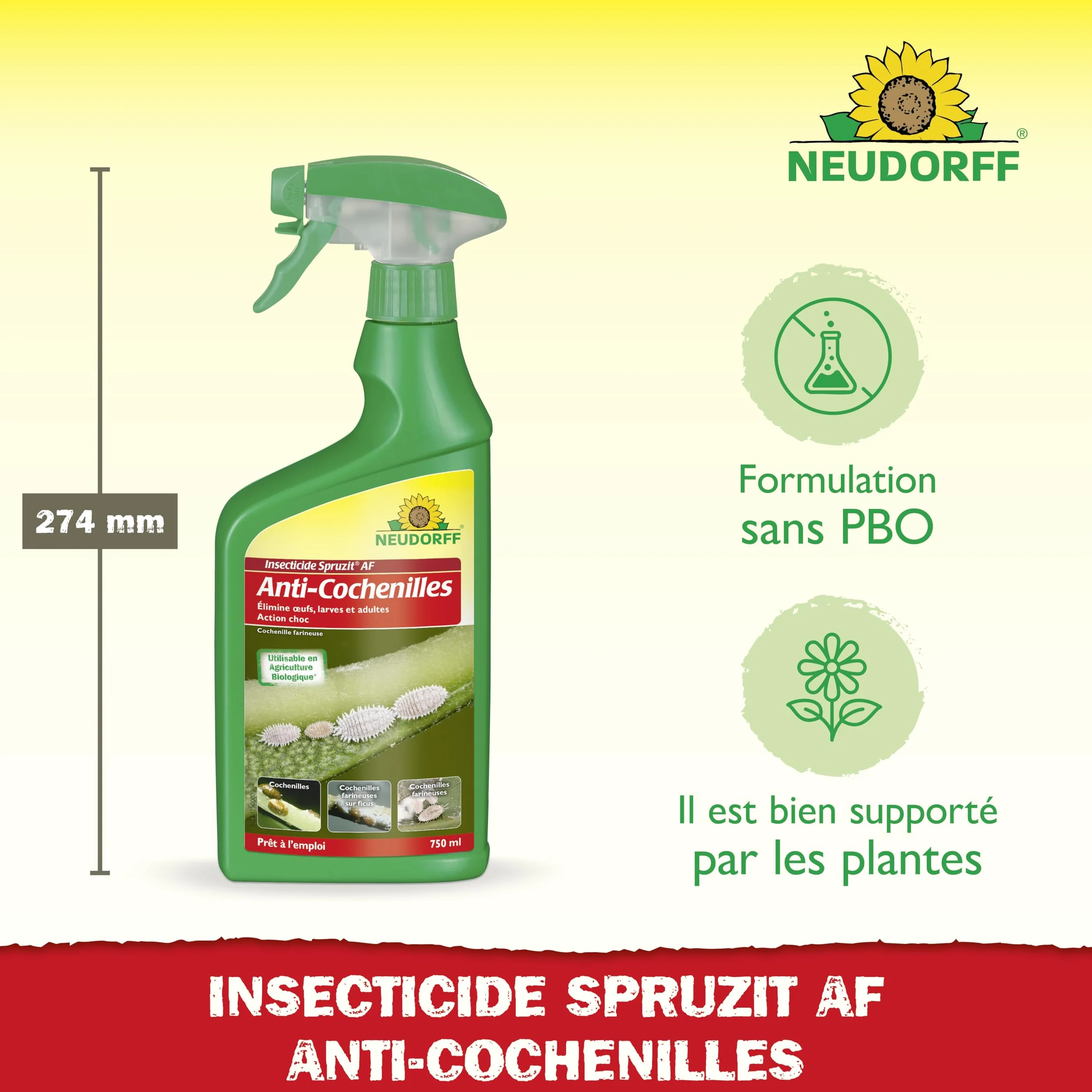 Neudorff Insecticide Spruzit Anti cochenille AF Spray 750 ml – Traite les cochenilles et pucerons sur plantes ornementales et fleurs