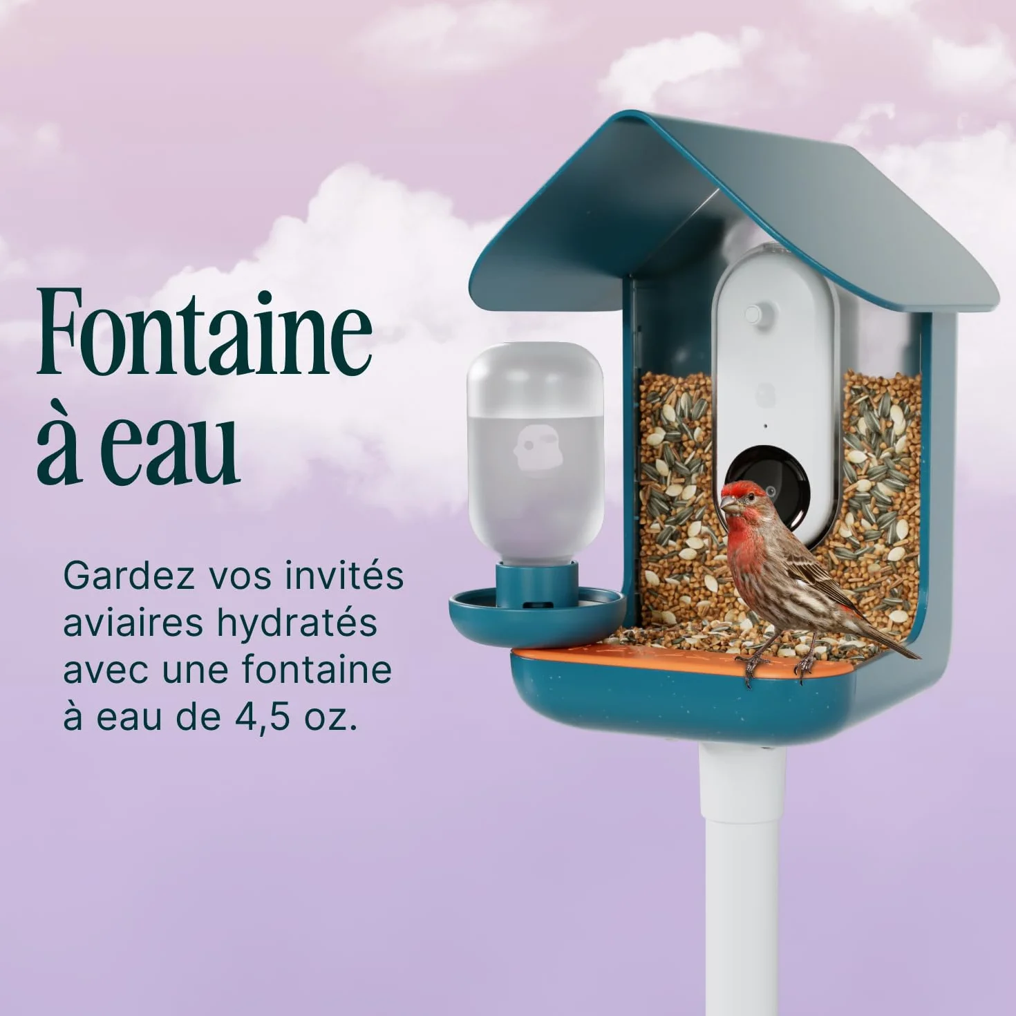 Birdbuddy Ensemble de Nutrition 3 en 1 – Fontaine à Eau, Piquet à Fruits, Mangeoire à Gelée pour Oiseaux Extérieur