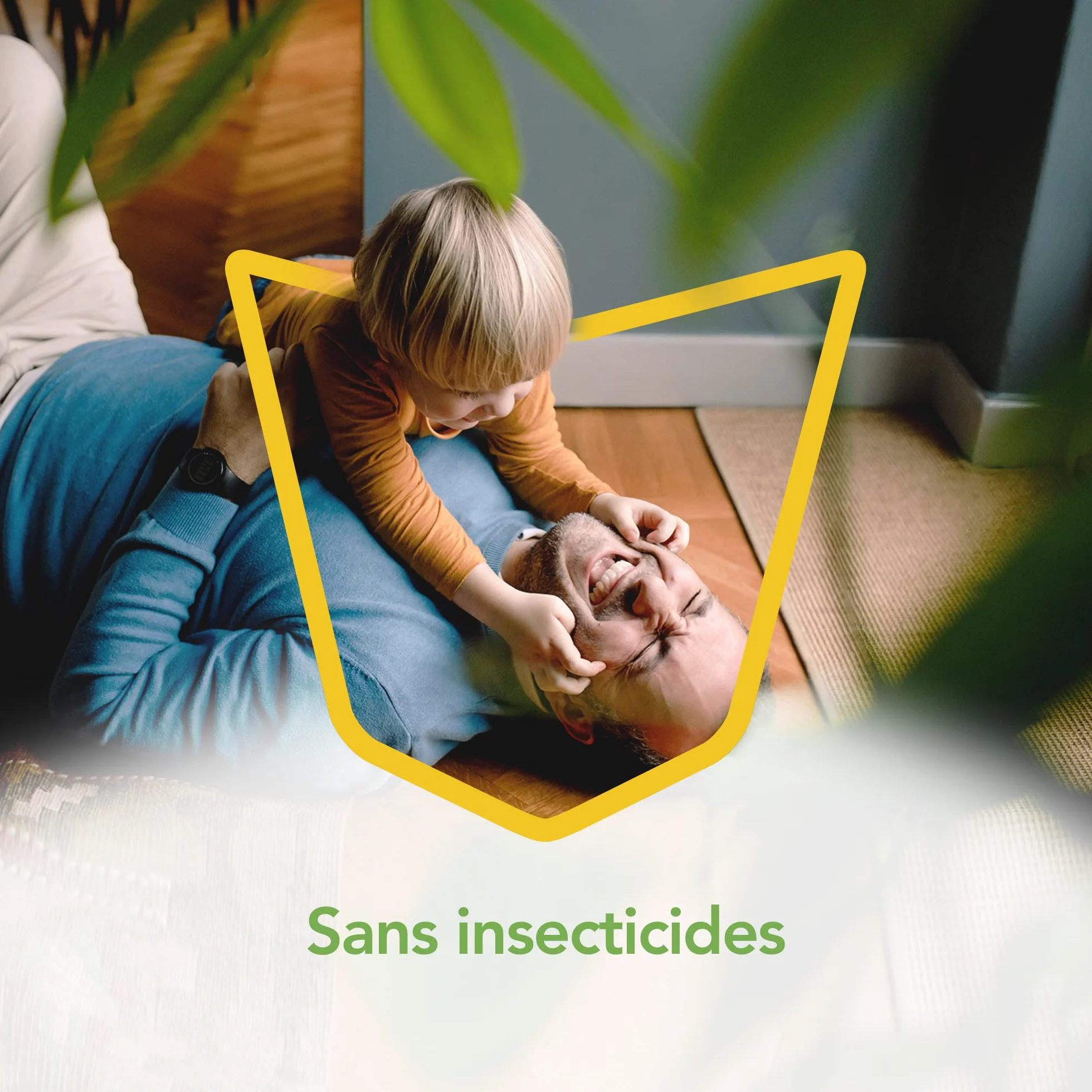 Raid Essentials Piege À Mouches Et Mouches À Fruits Sticker Fenêtre Forme Soleil Levant 6 unités