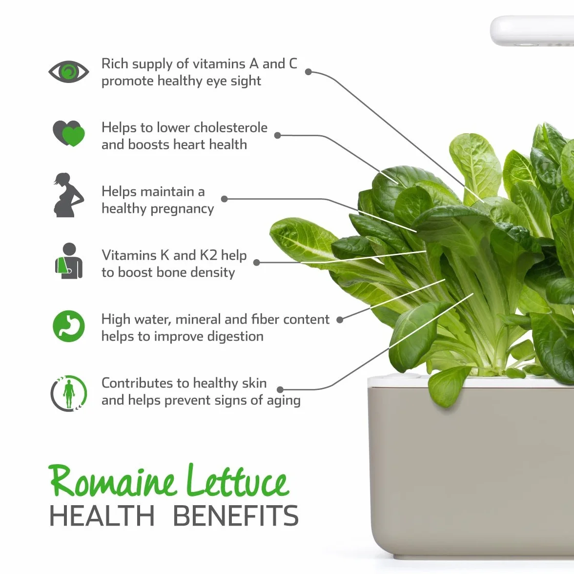 Click and Grow Smart Garden Lot de 3 gousses de laitue romaine