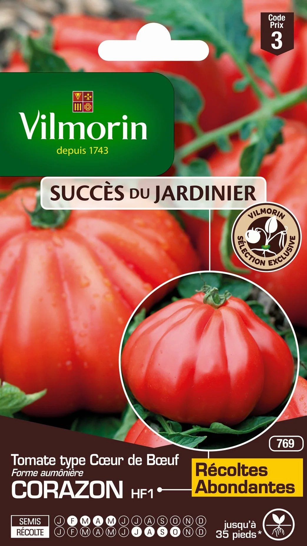Vilmorin Tomate cœur de bœuf Rouge 9 x 0.5 x 16 cm