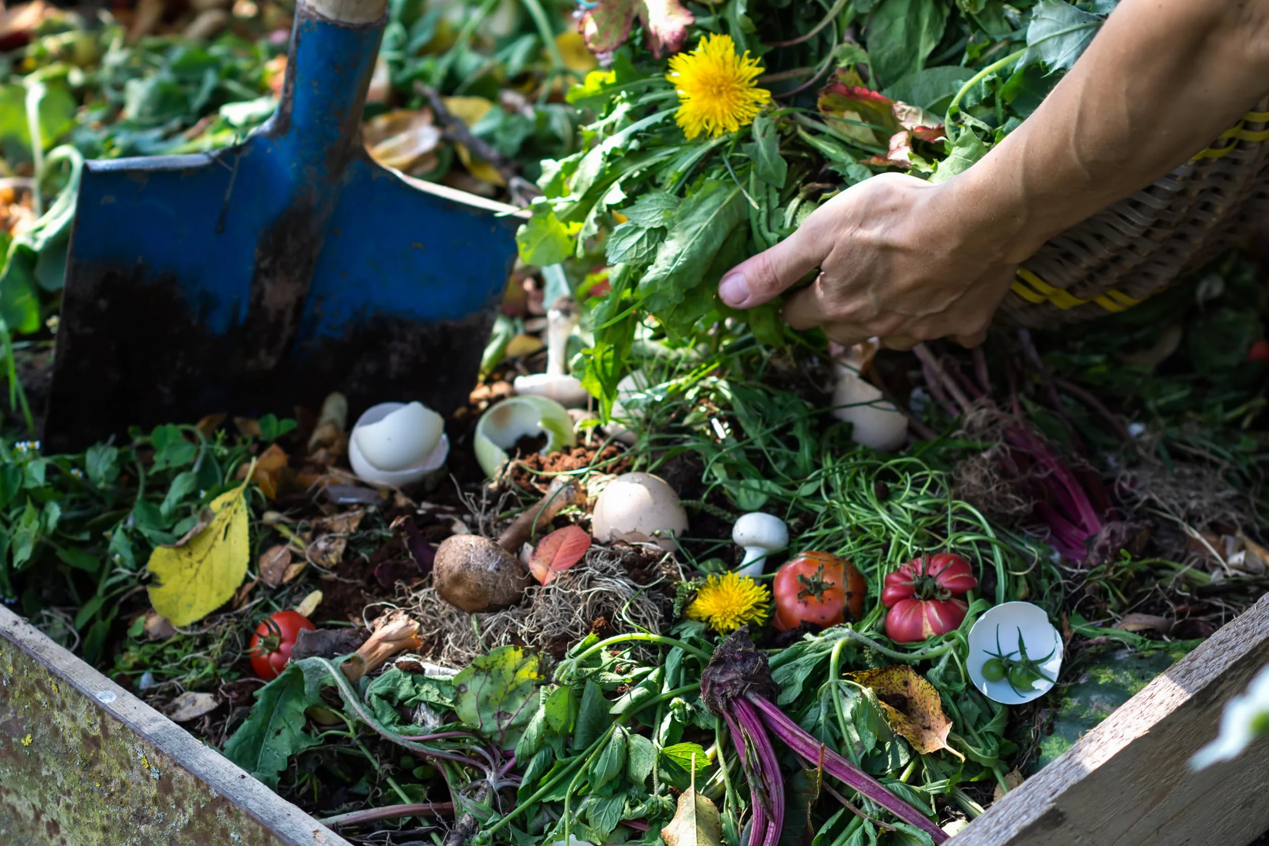 Solabiol Engrais Activateur De Compost 900g Prêt A l'emploi Accélère La Transormation des Déchêts Verts Agriculture Biologique