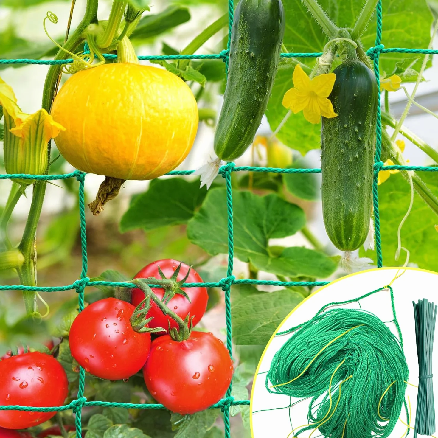 Treillis 2x3m Grande Maille, Filet à Concombre pour Plantes Grimpantes - Jardin et Serre