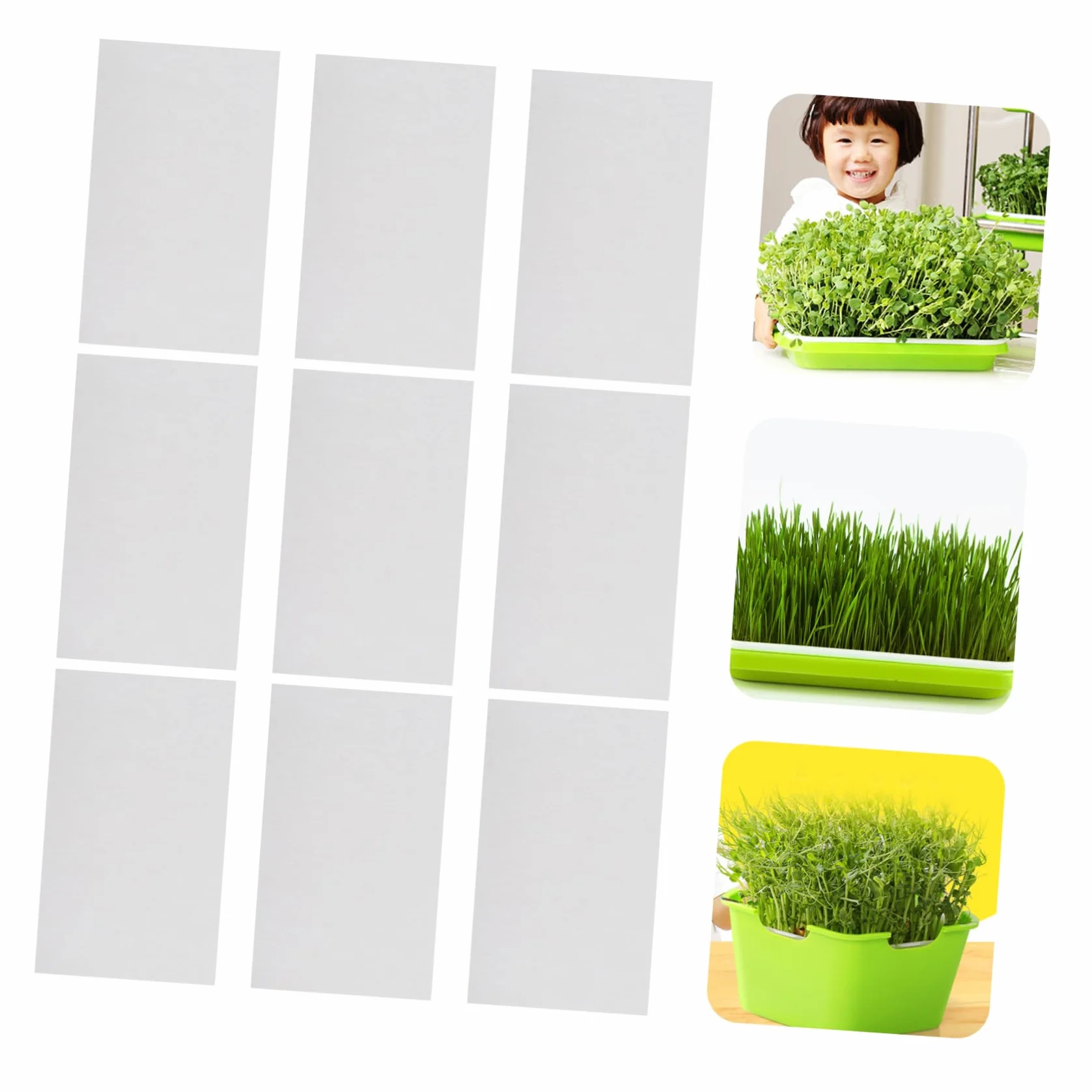 Papier De Germination 150 Feuilles Absorbantes pour Cultures sans Sol De Légumes