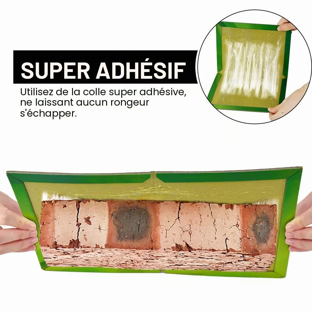 Piege a Souris Rat Colle Collant 22 Pièces Pièges à Souris Attrape Anti Souris Rat Glue Plaque Collante Piège Souris et à Rats Puissant Mouse Trap Mulot Exterieur Efficace Interieur
