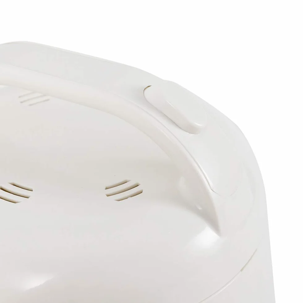 Générateur de vapeur 900 W 1,5 l Portable avec minuterie