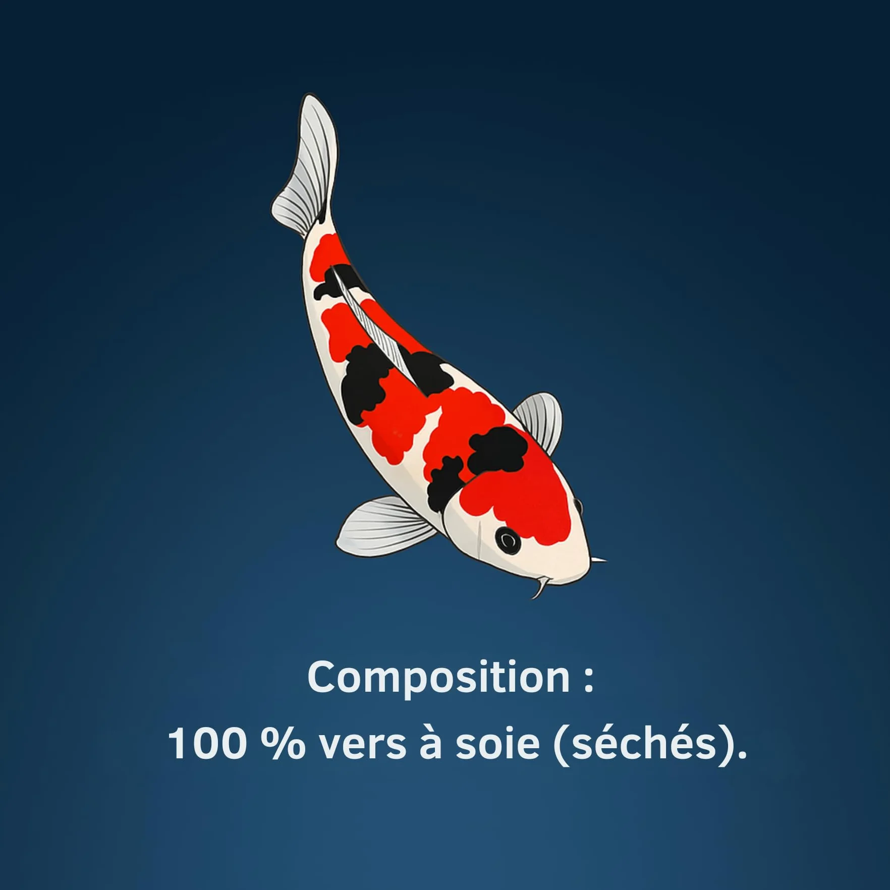 Nature Snack Nourriture pour Poissons koï 700 g, complémentaire Naturelle pour Kois, 16°C