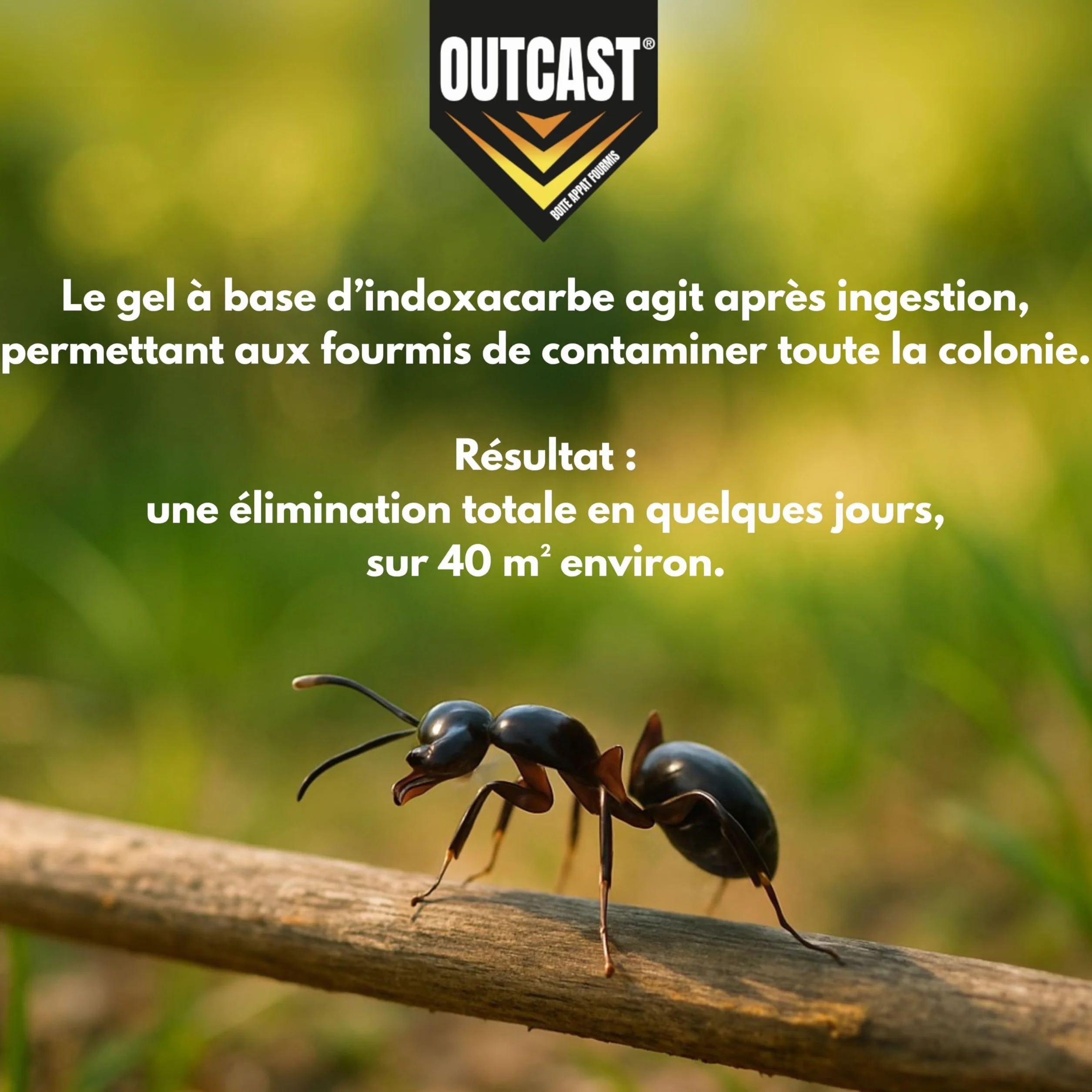 Outcast Boîte Appât Anti Fourmis en Gel Piège Intérieur Extérieur Élimination Colonies Fourmi Action Retardée 3 Pièges