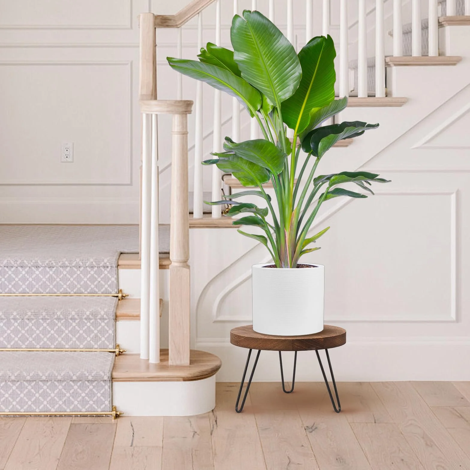 Support Plante en Bois Rond, Tabouret Plante Intérieur Extérieur, Adaptable à Différentes Tailles de Pots, Maison Jardin Patio