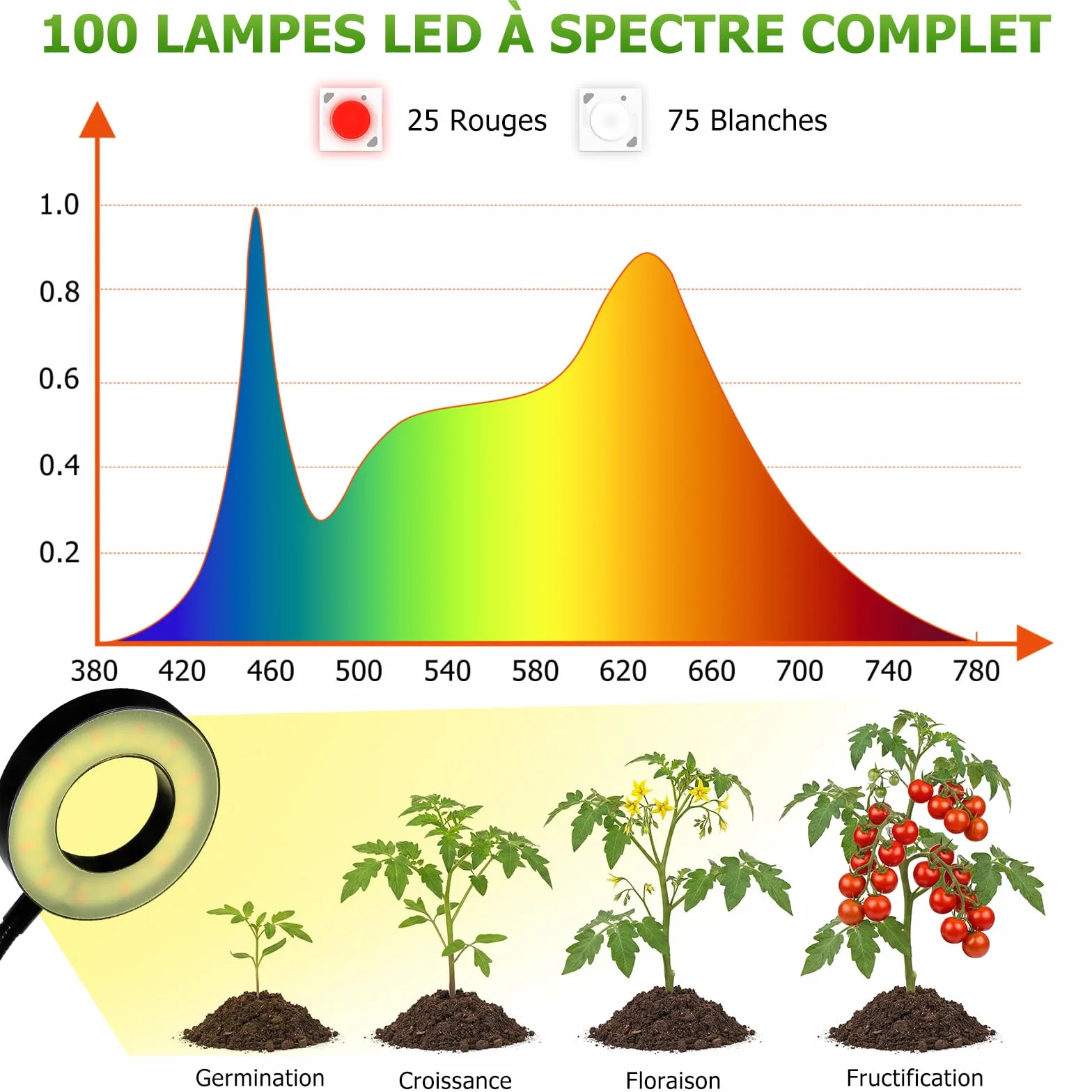 Lampe Horticole LED Plein Spectre 100 LEDs avec Minuterie 4/8/12H 4 Bras Col de Cygne Flexible