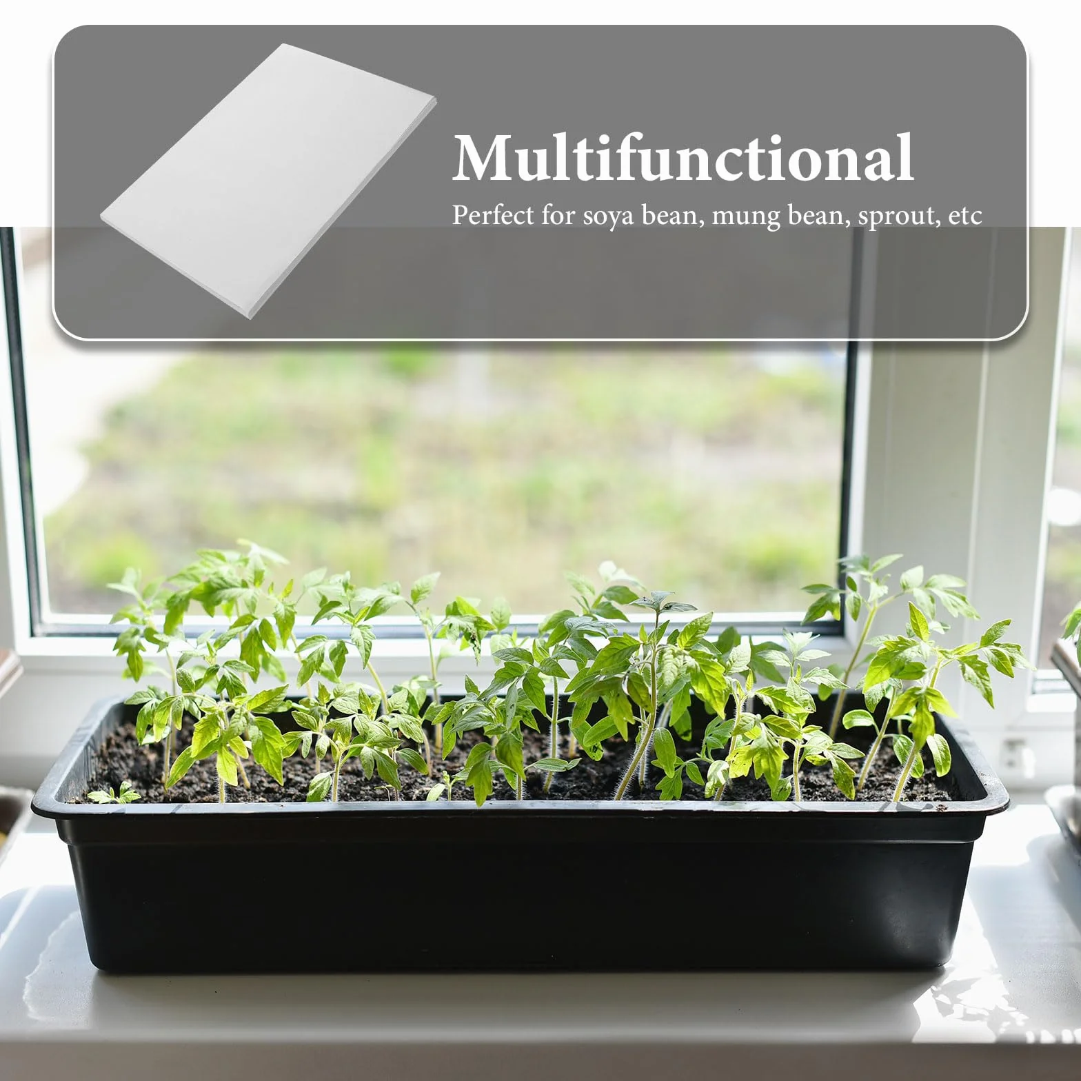 Supvox Lot de 100 Feuilles Papier Germination 19 x 27 cm Absorbant Pousses Microverts Culture Sans Terre