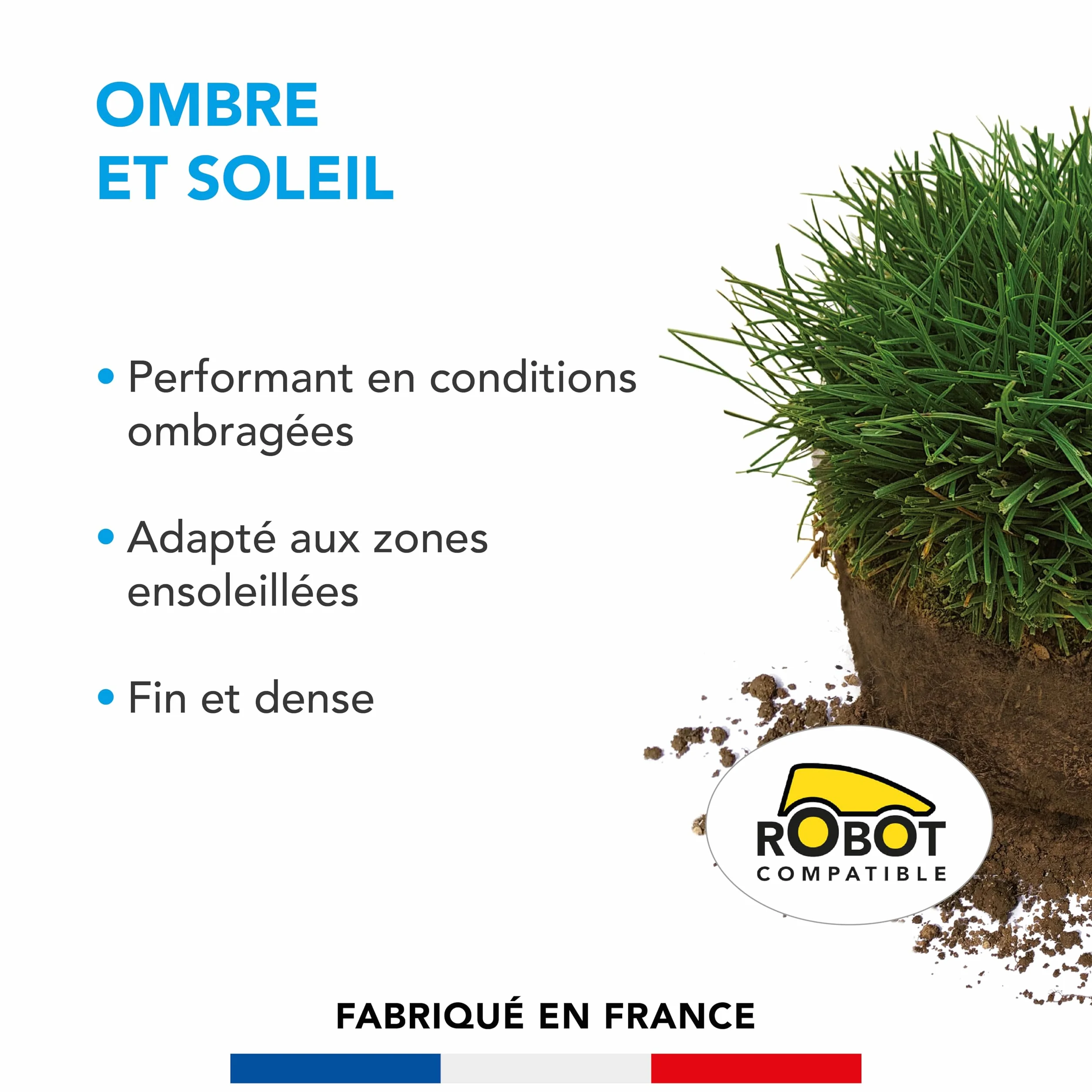 Barenbrug Gazon Ombre et Soleil 3KG Performant Conditions Ombragées Adapté Zones Ensoleillées Fin Dense