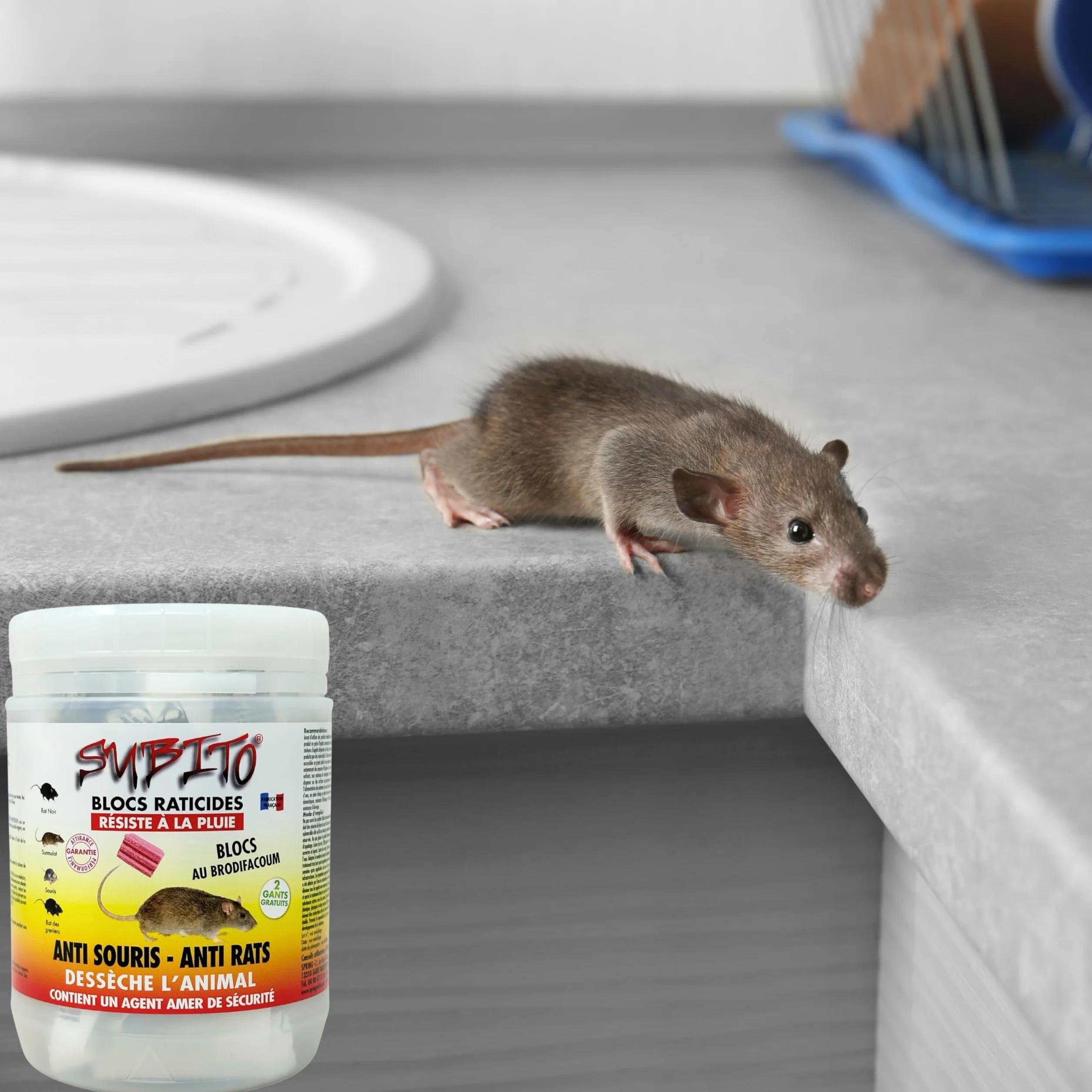 Raticide Appât Poison 300g - Élimination Rats et Souris - Intérieur Extérieur - Anti Rongeur Efficace