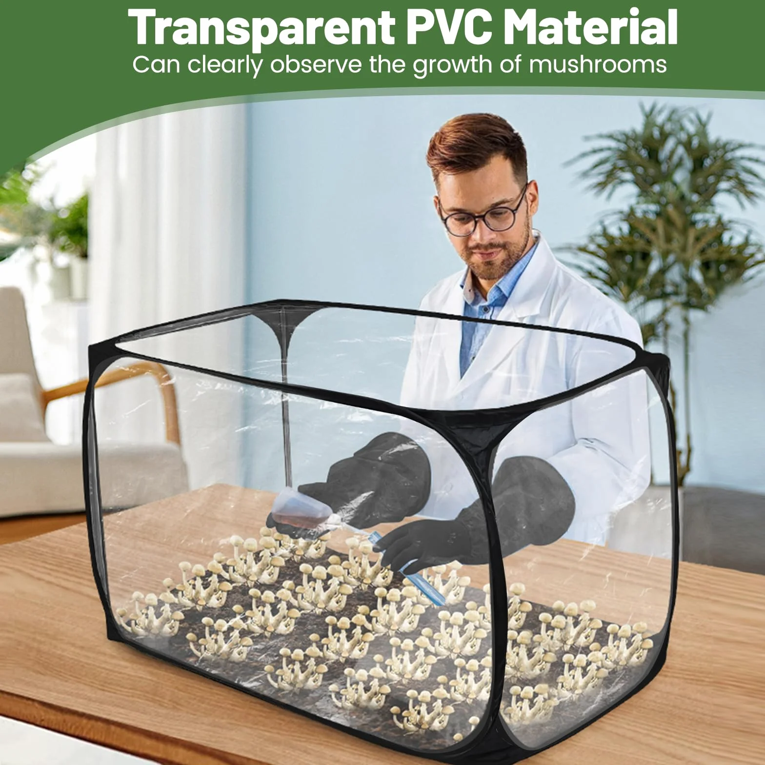 Tente de culture de champignons Still Air Box 90 x 60 x 60 cm transparente pliable avec gants