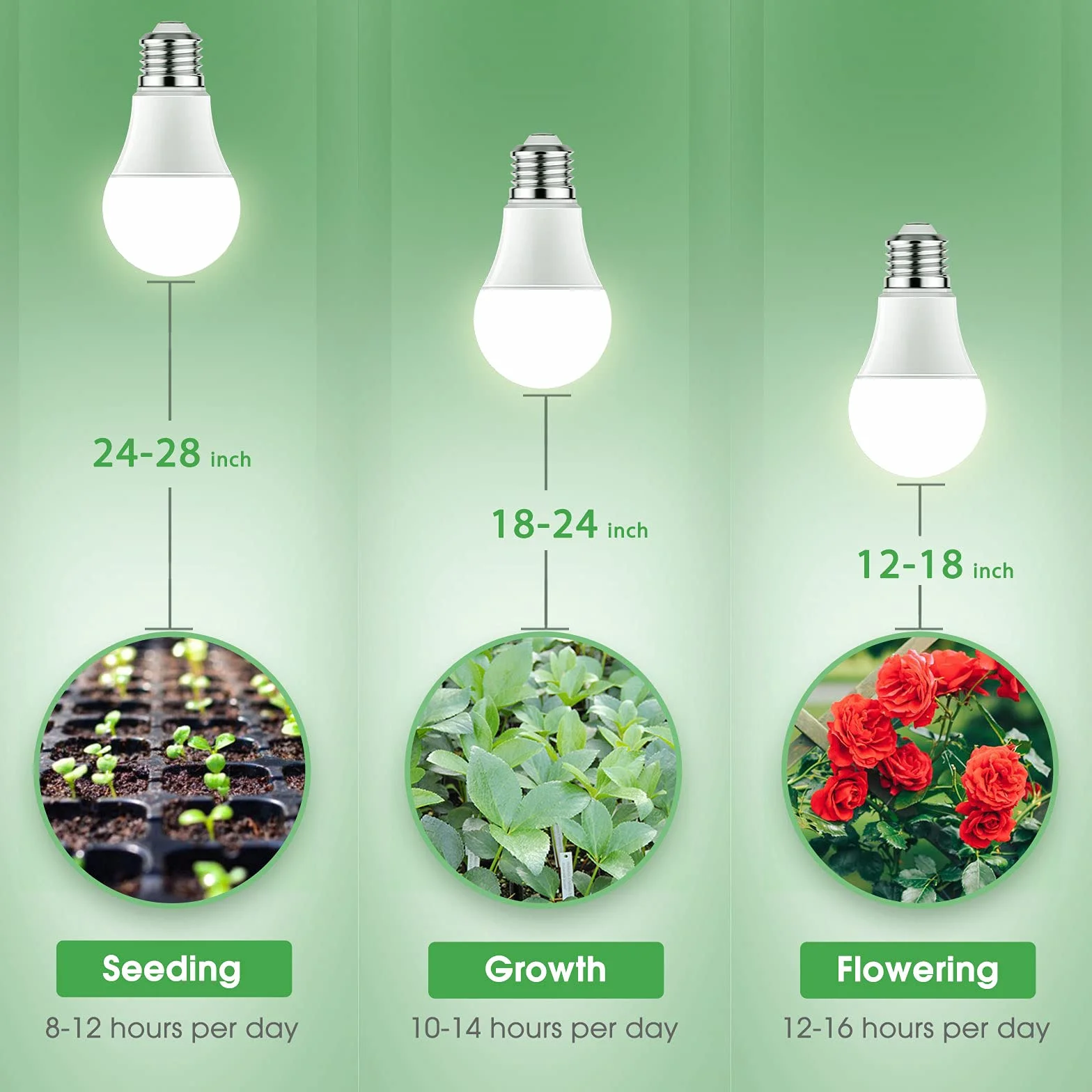Briignite Lampe Horticole LED Spectre Complet E27 12W 100W Équivalente Angle 180°