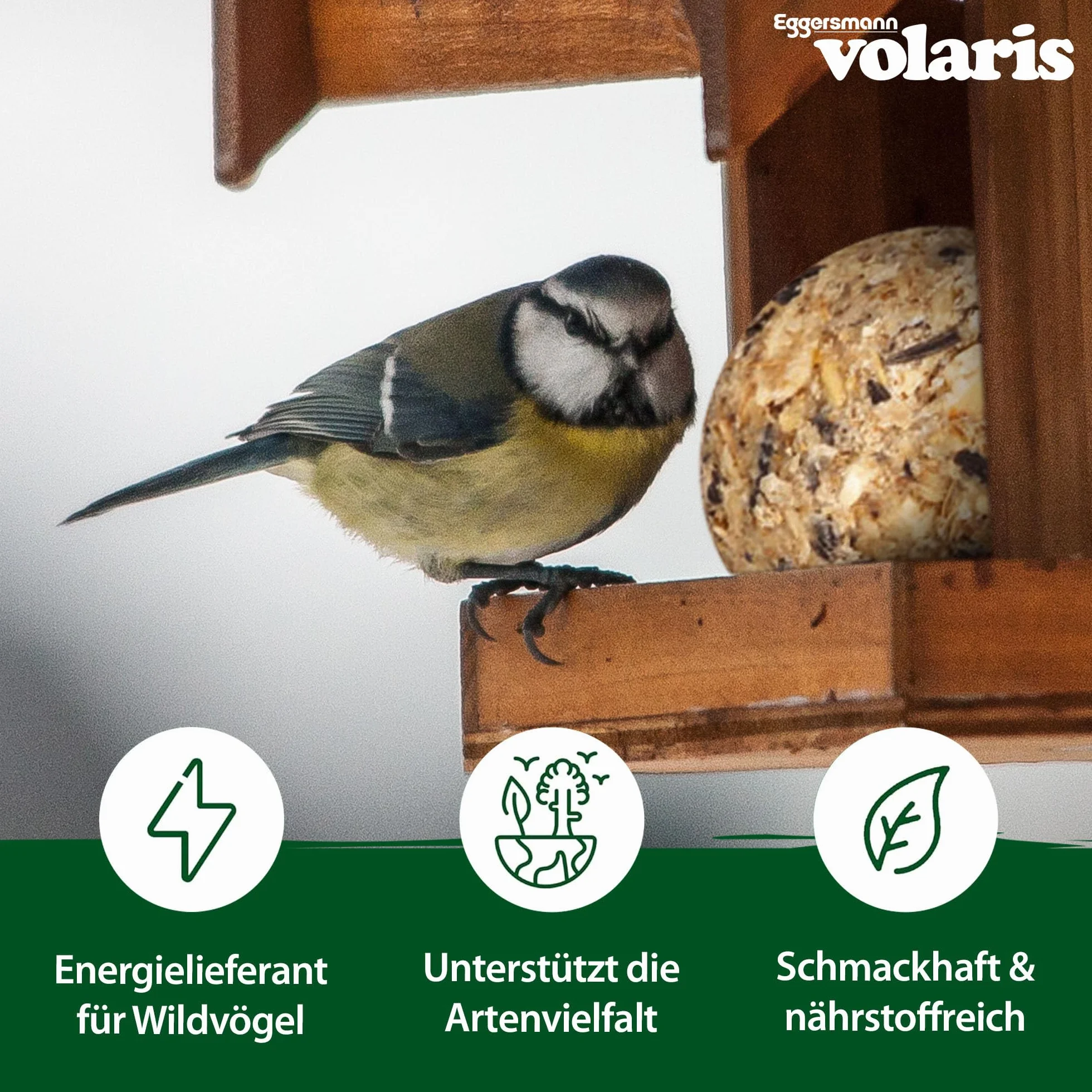 Eggersmann Volaris Lot de 100 boules de graisse pour oiseaux sauvages