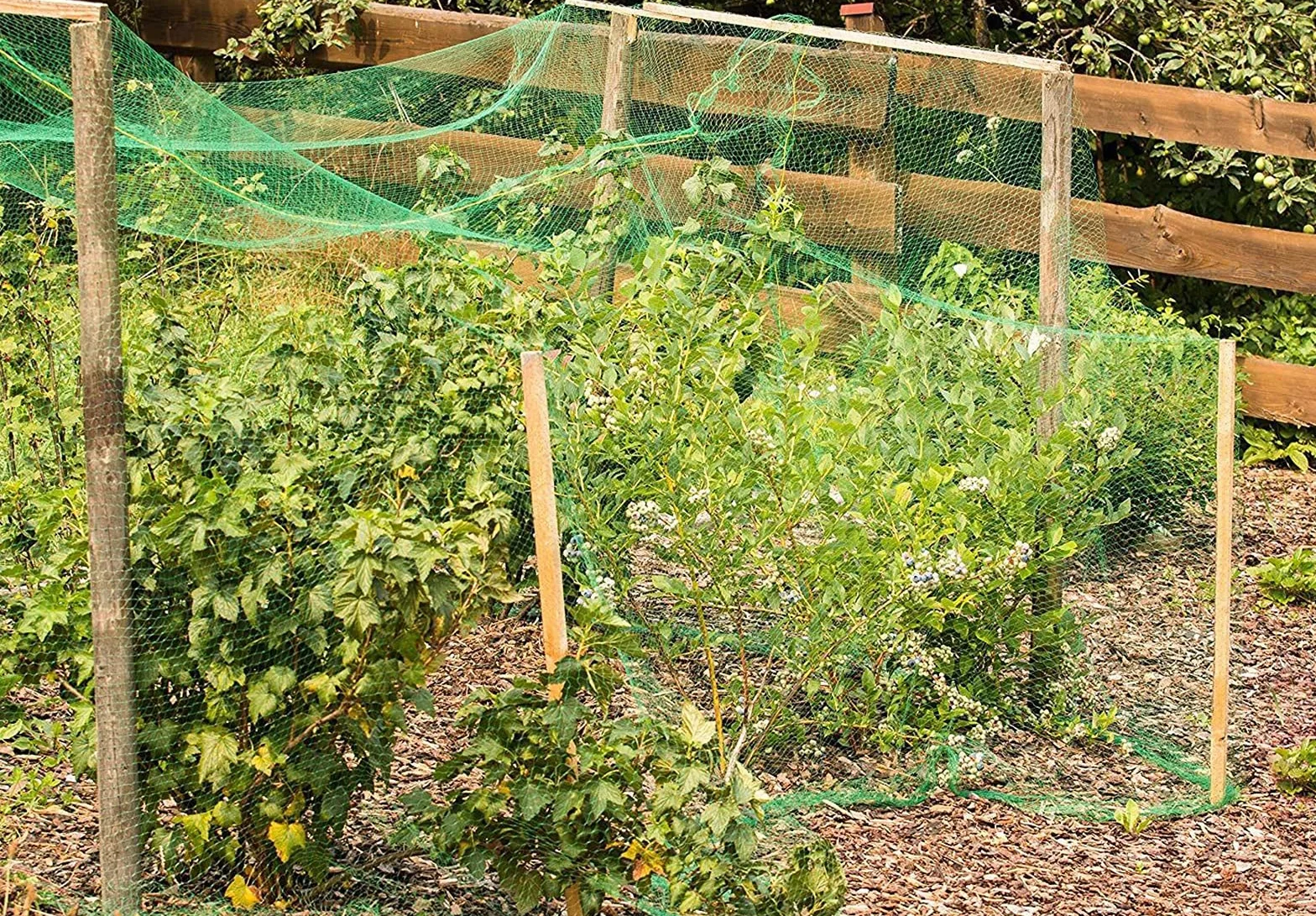 Filet de Protection des Oiseaux 4 x 10 m, Filet de Jardin pour Plantes, Fruits, Légumes