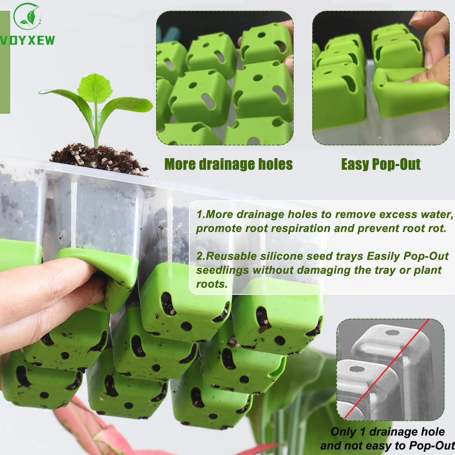 Mini serre avec lumière complète pour plantes, kit de culture d'intérieur
